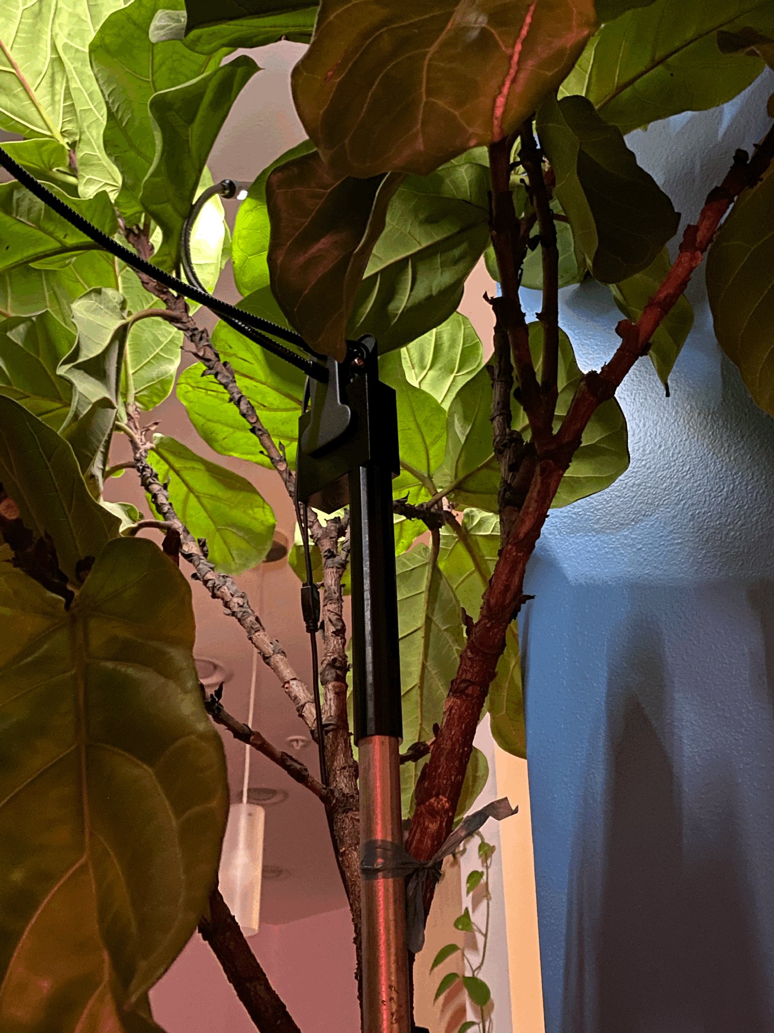 Giá đỡ đèn trồng cho cây cao