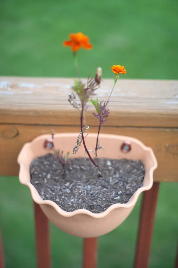 Công cụ phân phối tải cho chậu treo gắn vít