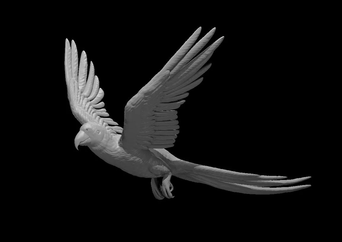 Vẹt phù thủy đáng yêu cho trò chơi tabletop