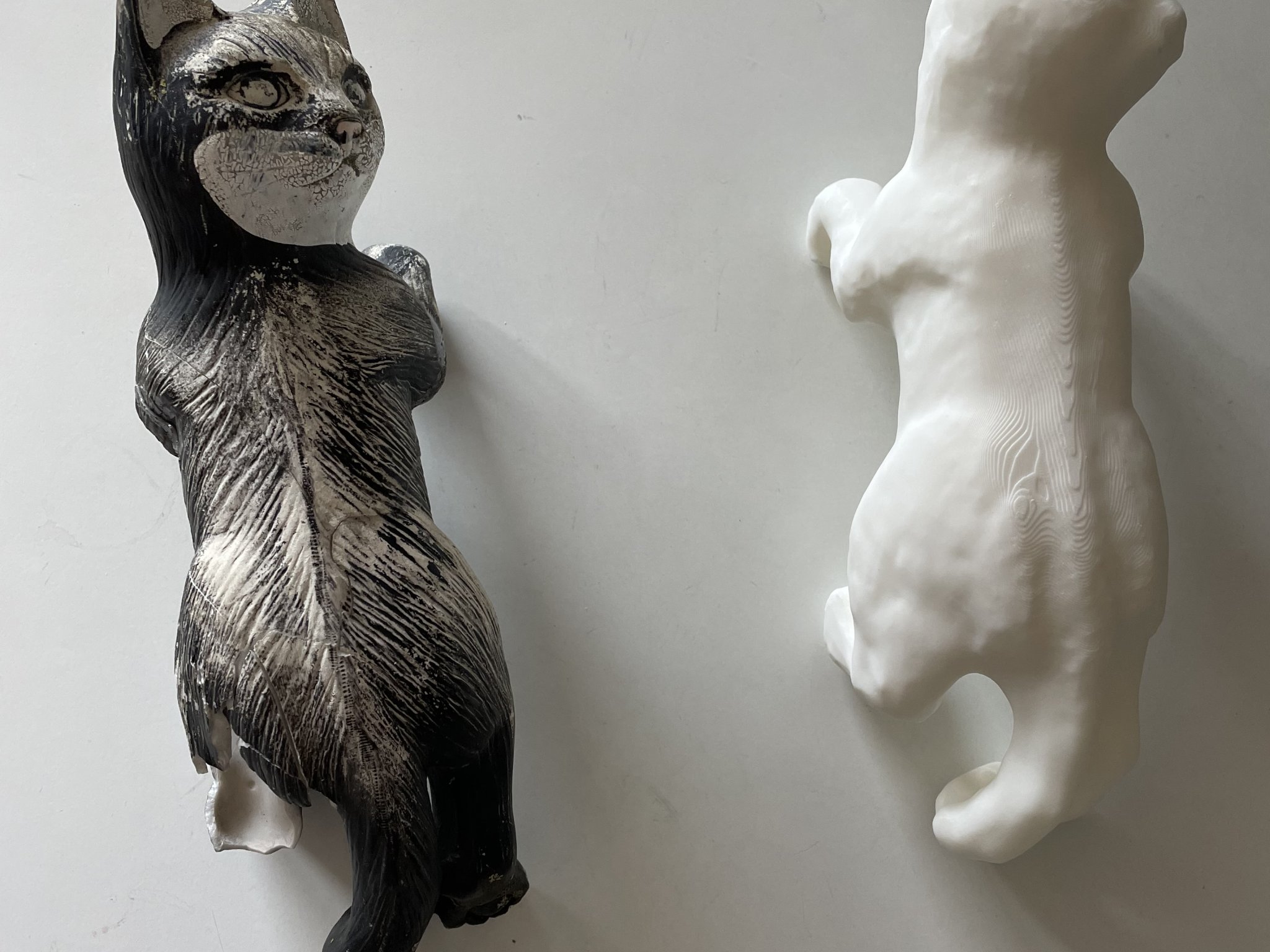 Mèo treo trên ban công sau khi bị gãy chân