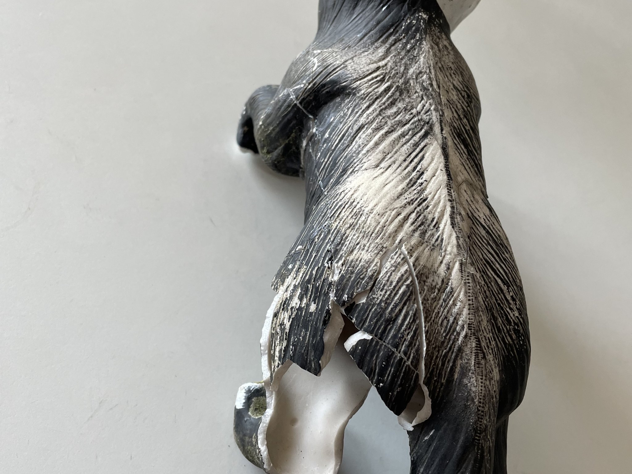 Mèo treo trên ban công sau khi bị gãy chân