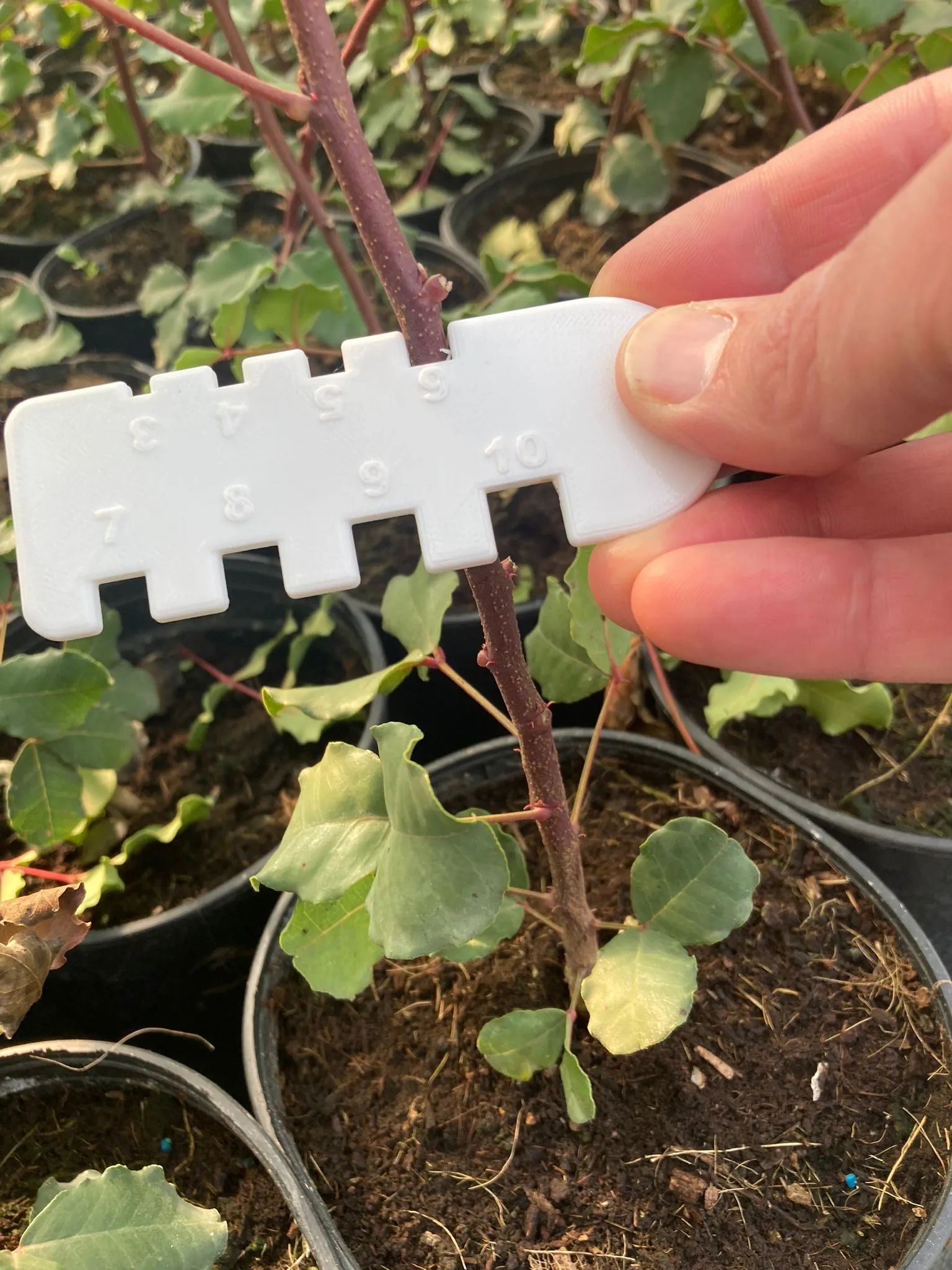 Thước đo chiều cao cây trồng và các vật thể tương tự