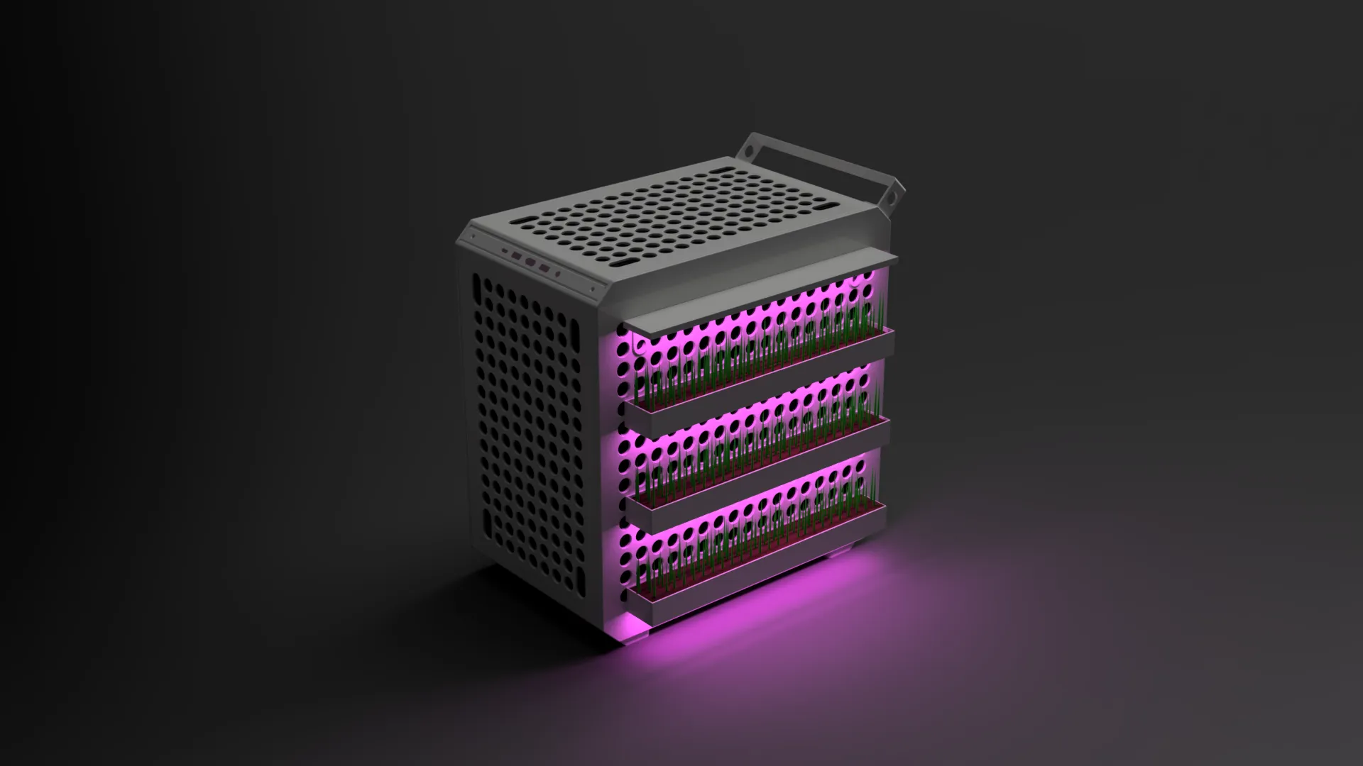 Cỏ dinh dưỡng cho mèo - Chậu cây cho CM Qube 500