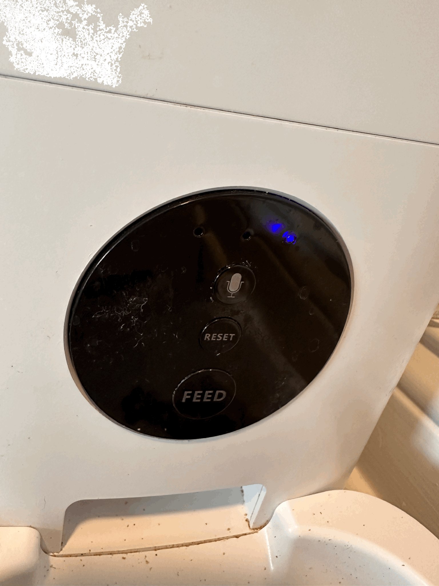 Bộ che nút "Feed" cho máy cho ăn tự động Petlibro