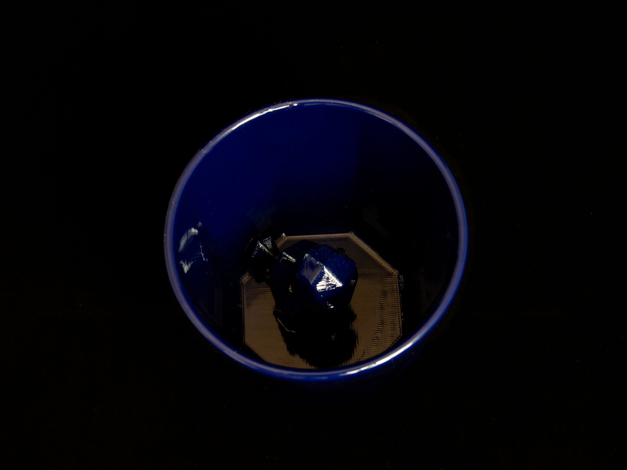 Squirtle ẩn nấp trong cốc Octaglass