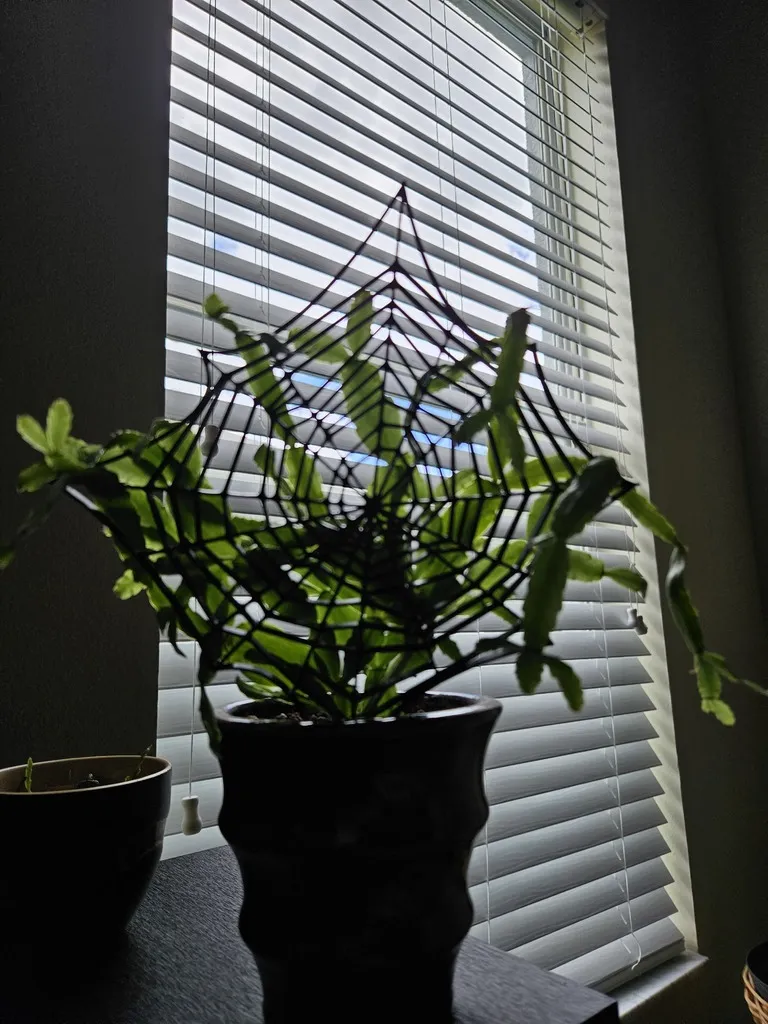 Giá đỡ cây xương rồng Giáng sinh/Halloween đơn giản