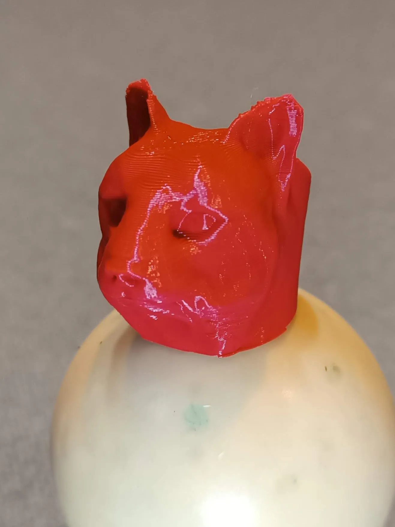 Cà vạt cổ cho hướng đạo sinh hình đầu báo hoặc mèo rừng