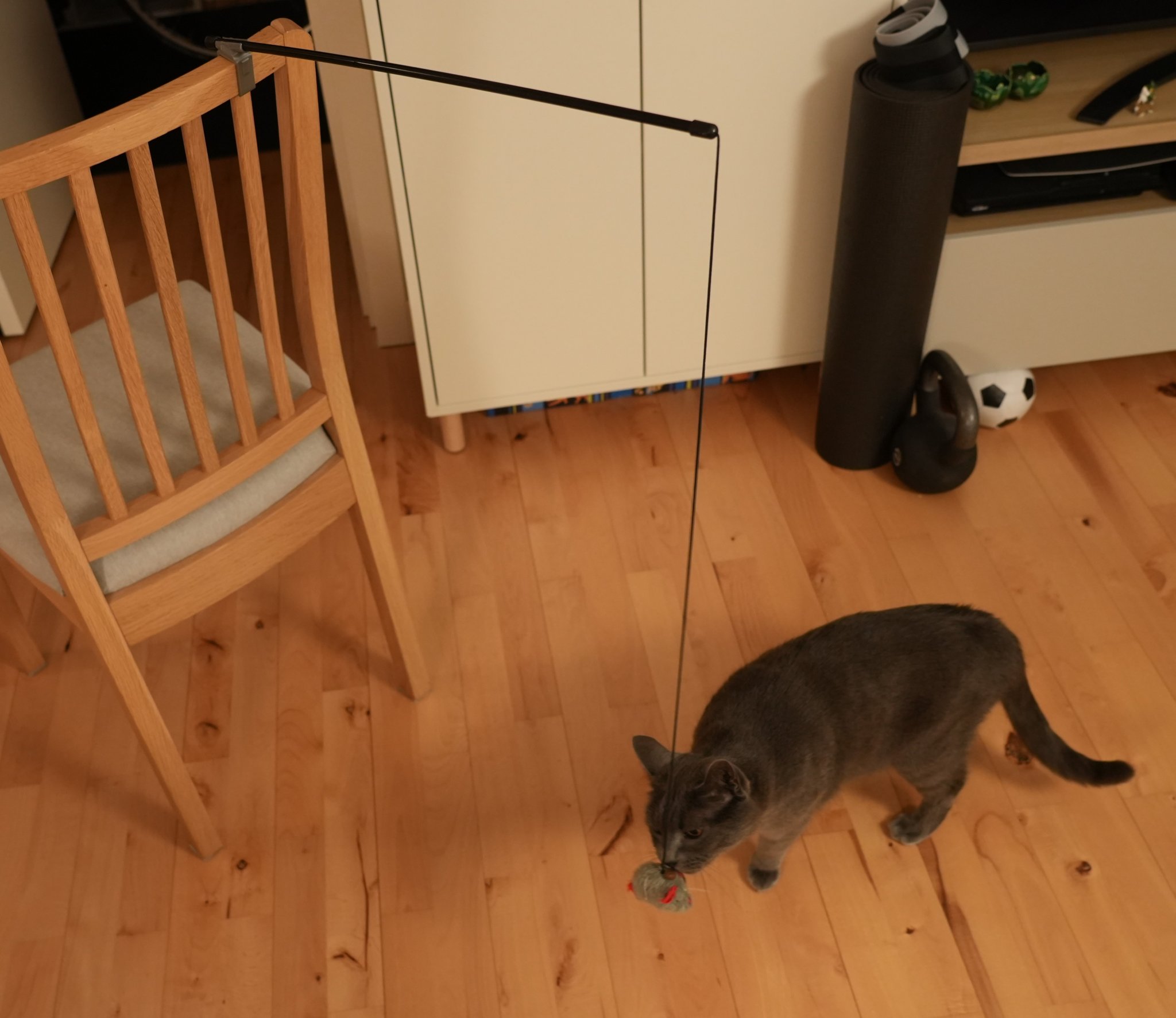 Giá đỡ cho đồ chơi mèo gắn trên ghế