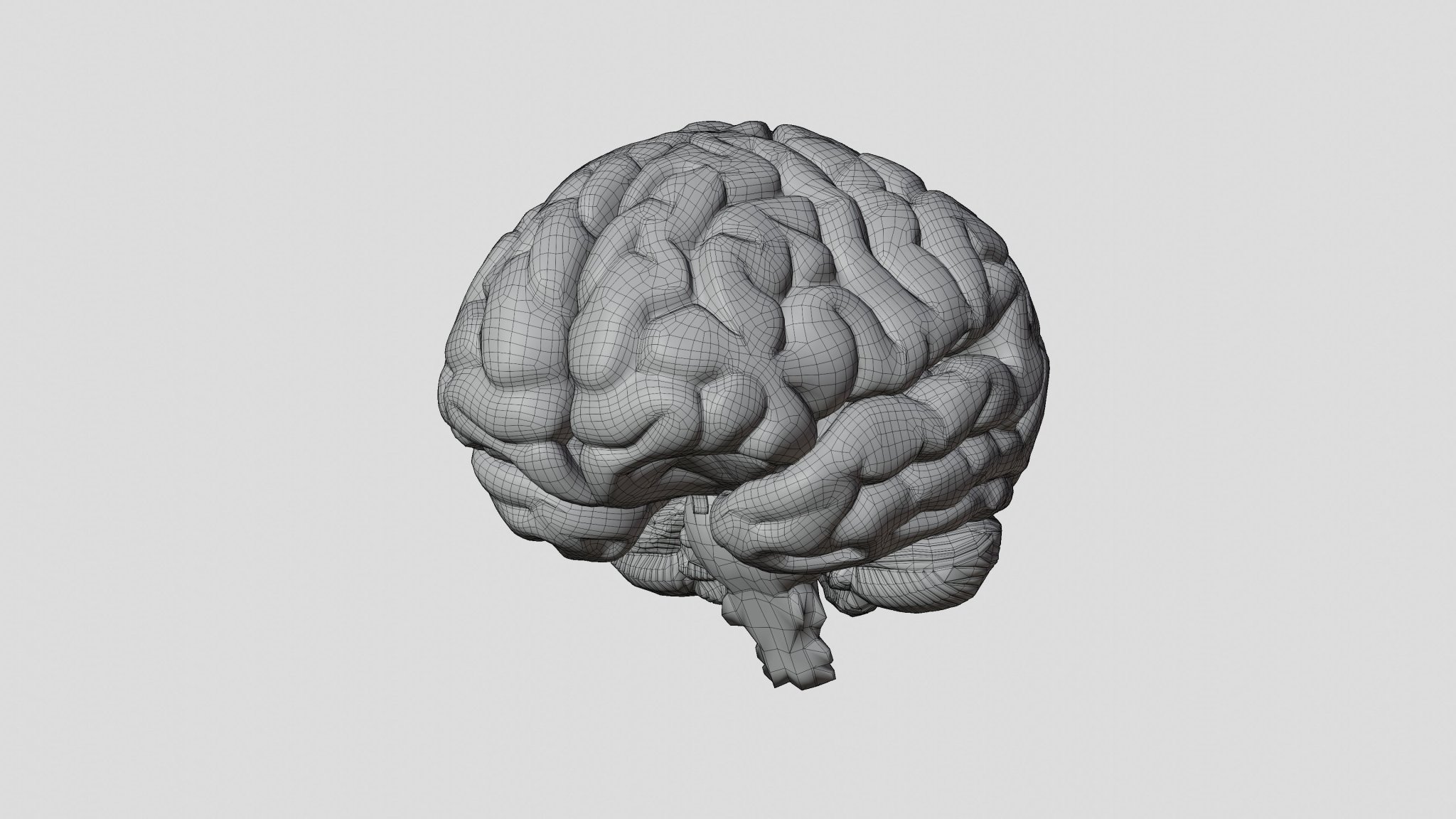 Não người mô phỏng chân thực với chi tiết tinh xảo