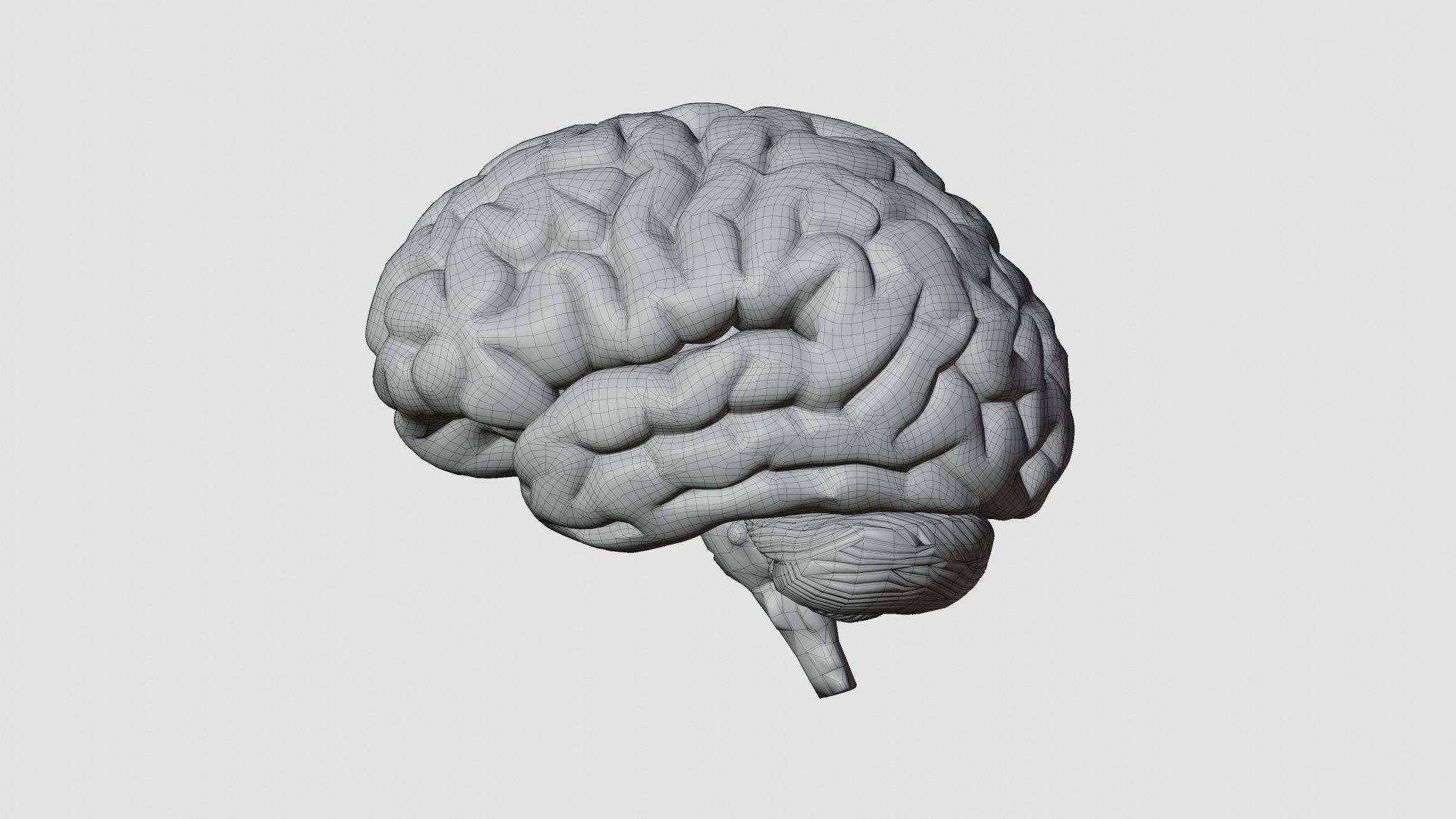 Não người mô phỏng chân thực với chi tiết tinh xảo