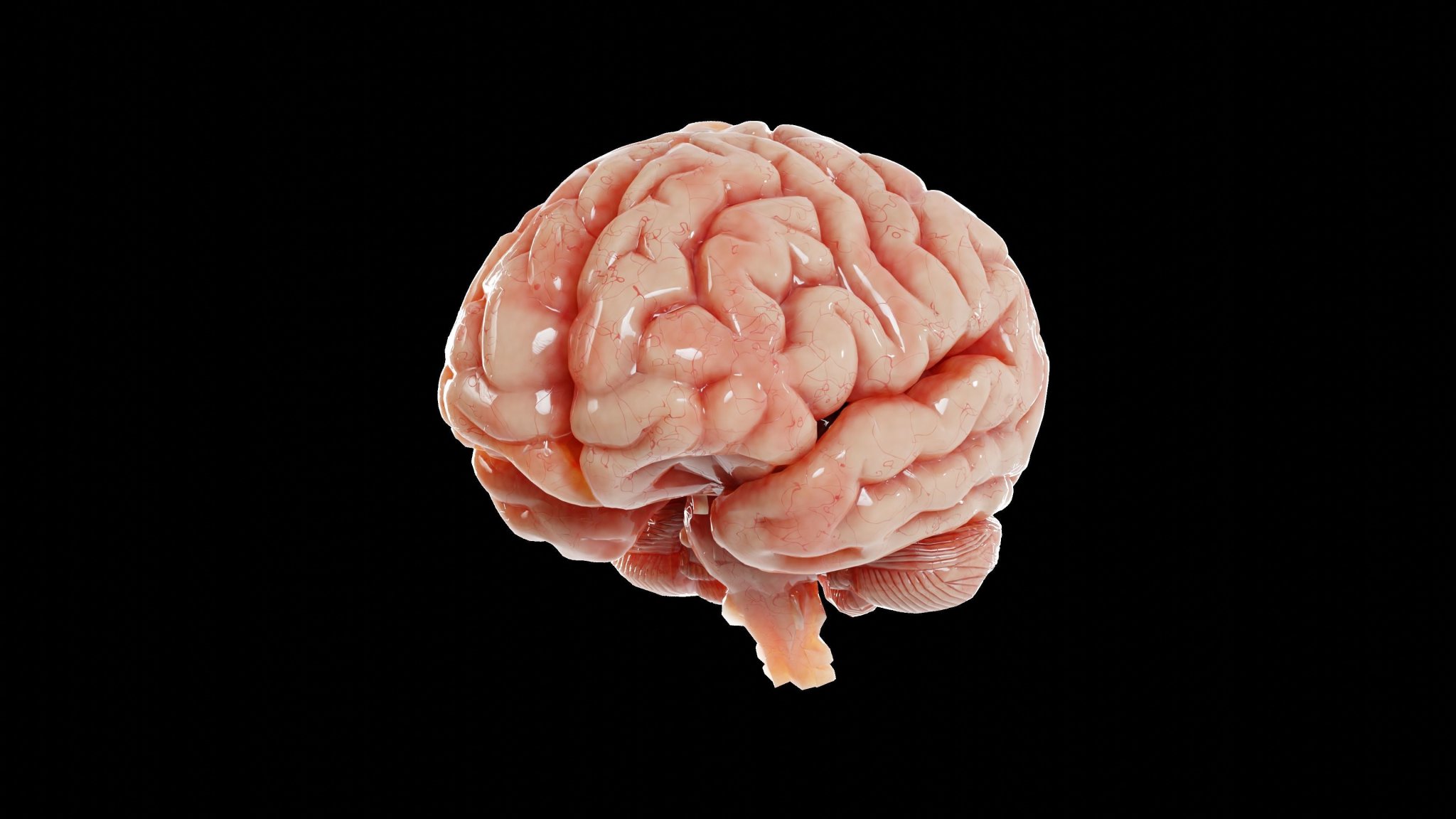 Não người mô phỏng chân thực với chi tiết tinh xảo