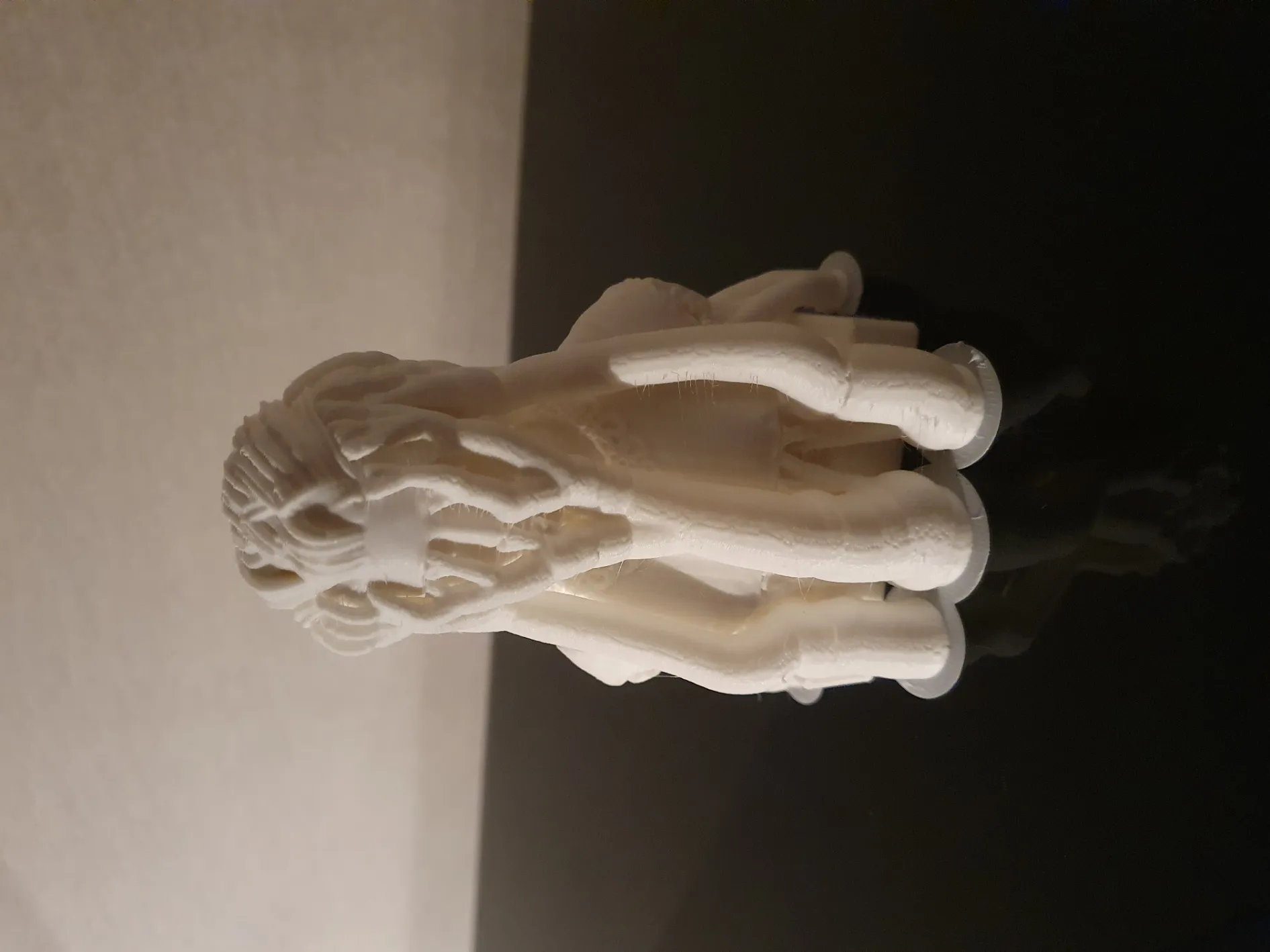 Tượng bán thân Marie Curie chi tiết