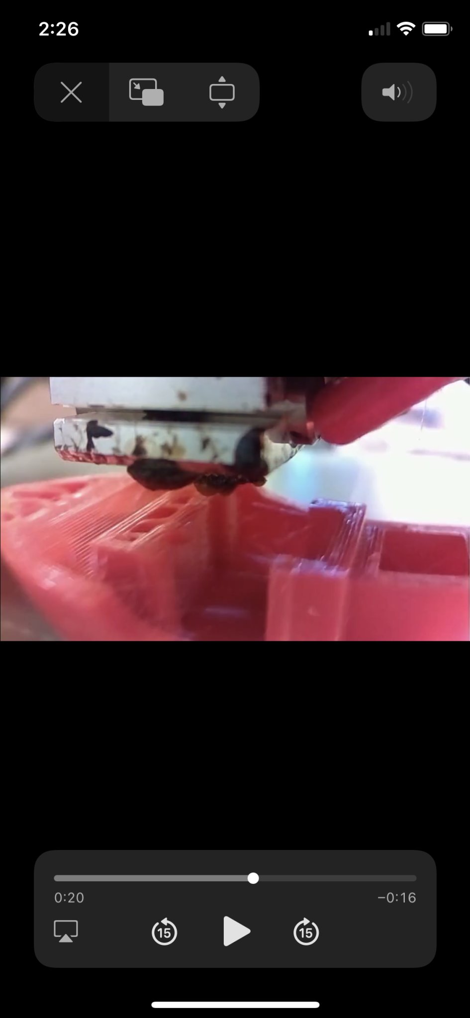 Giá đỡ camera cho Prusa Mini với Arducam OV5647 và ống kính M12