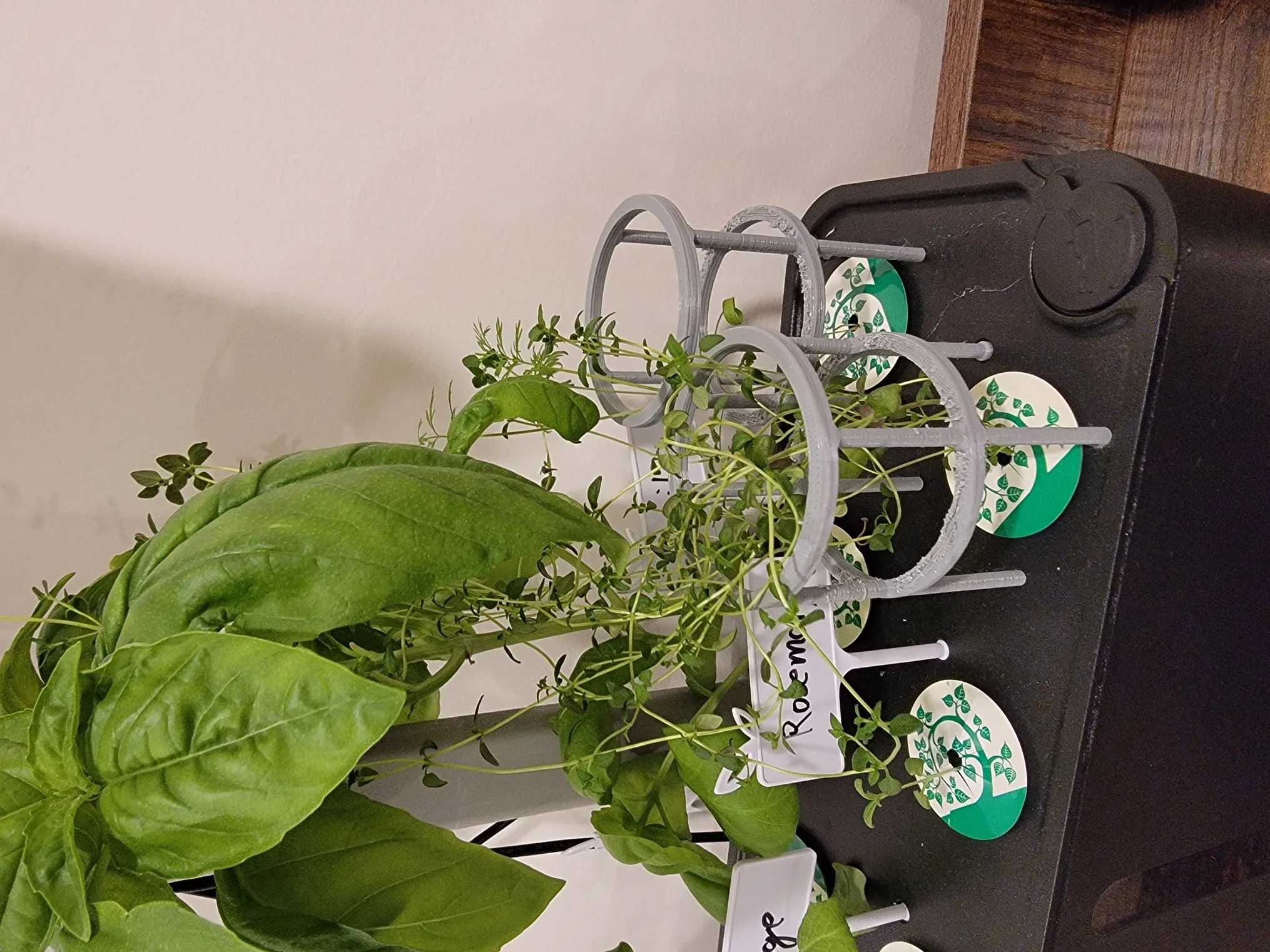 Giá đỡ cây iDOO giúp cây đứng vững trong vườn