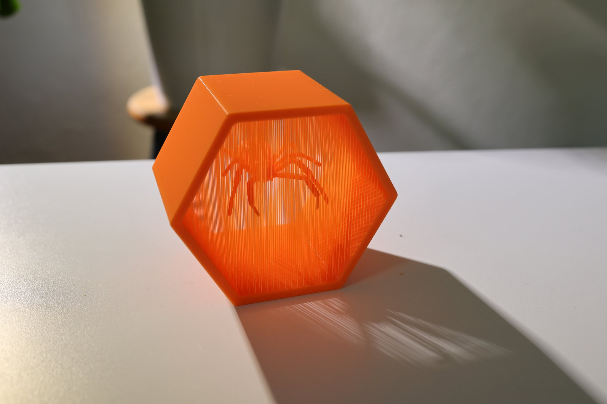 Nhện góa phụ đen treo lơ lửng trong nghệ thuật dây thừng