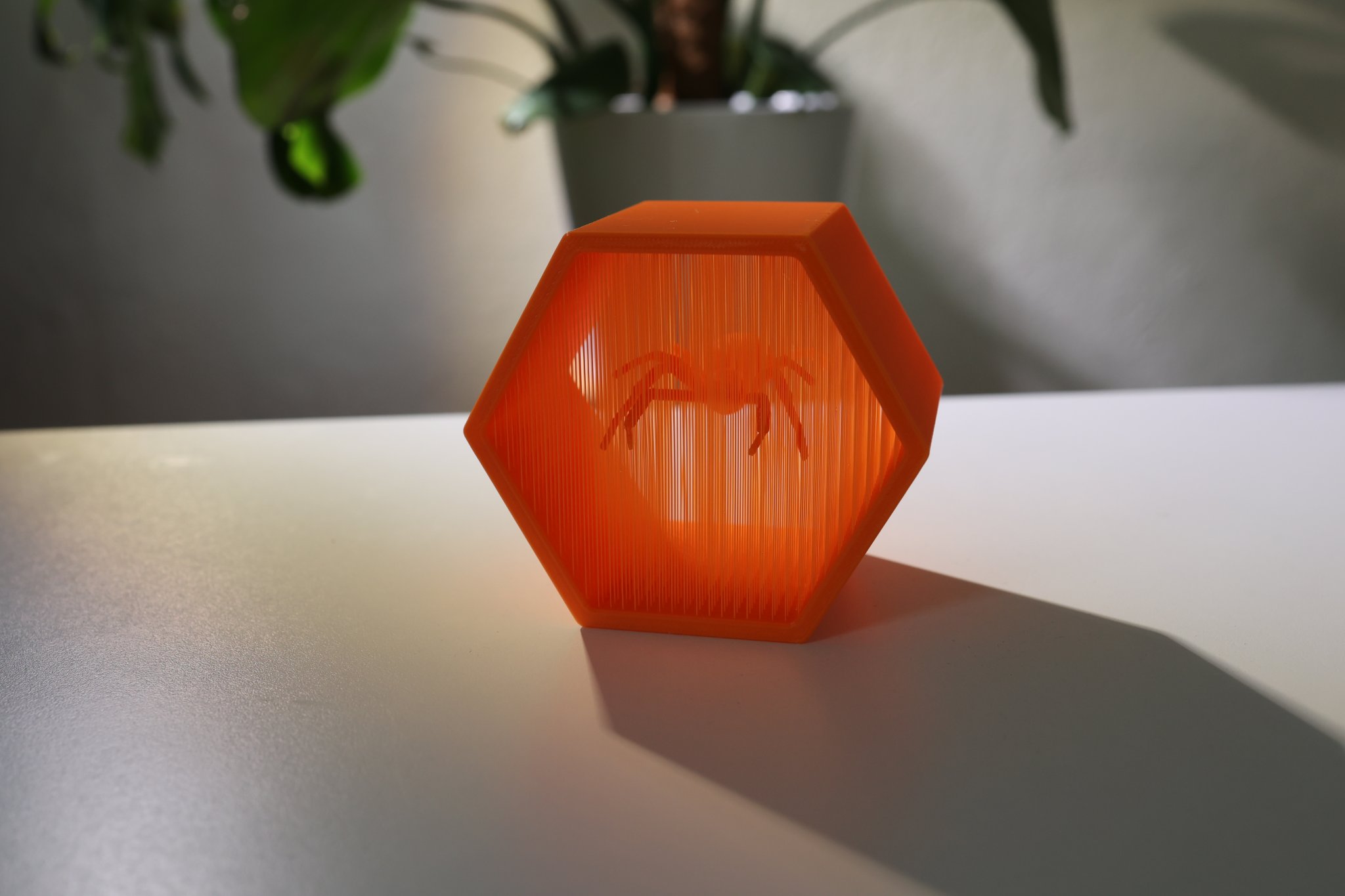 Nhện góa phụ đen treo lơ lửng trong nghệ thuật dây thừng