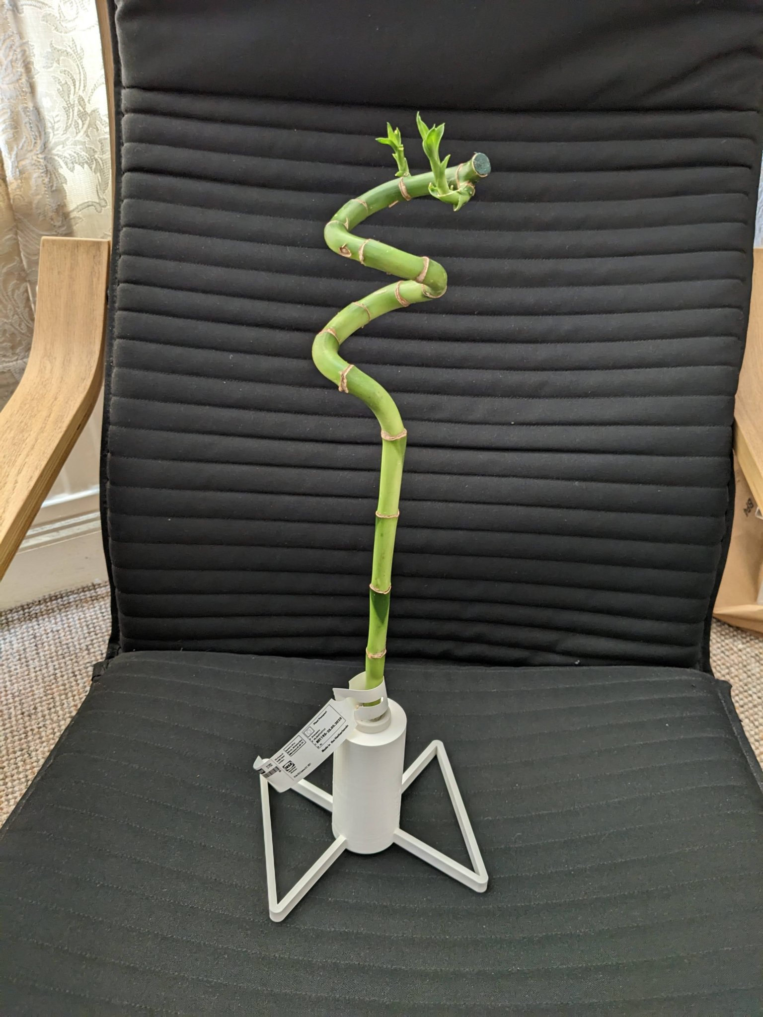 Giá đỡ cây trúc may mắn Ikea