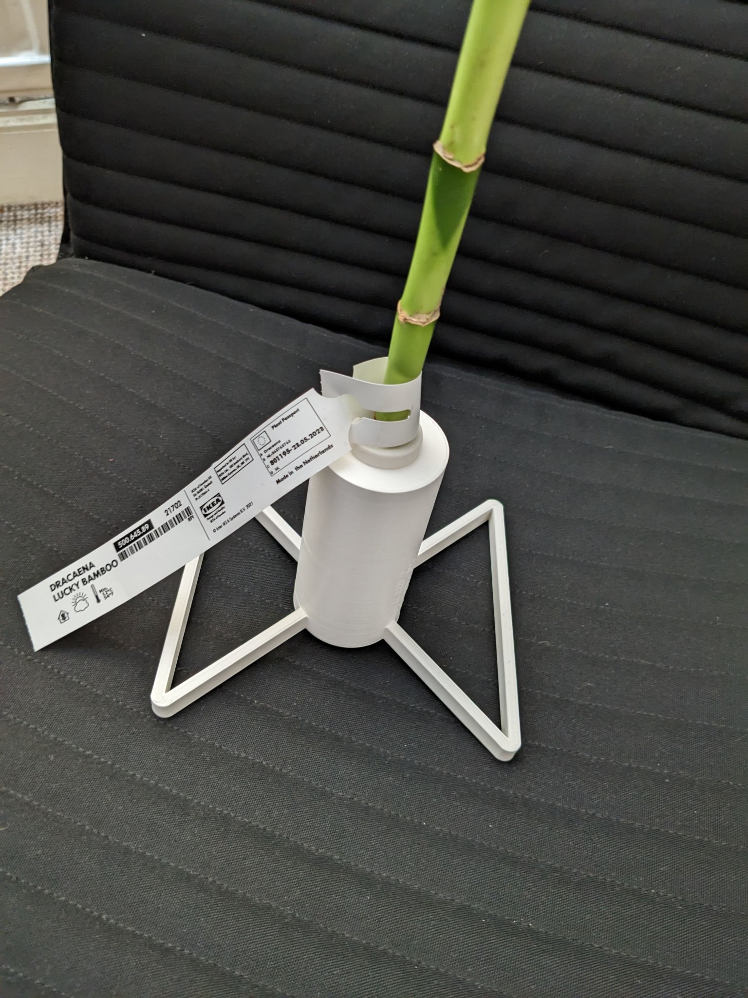 Giá đỡ cây trúc may mắn Ikea