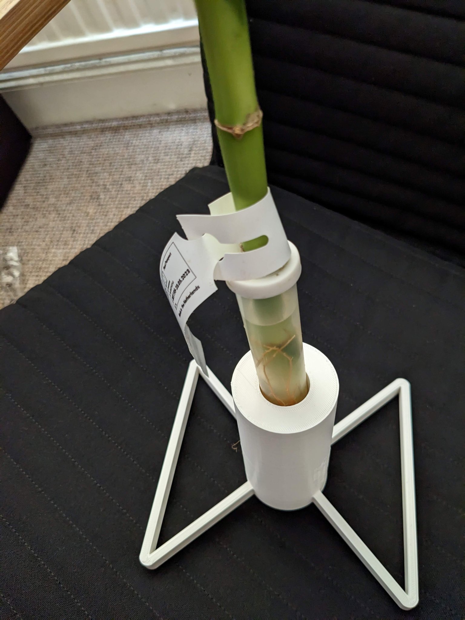 Giá đỡ cây trúc may mắn Ikea