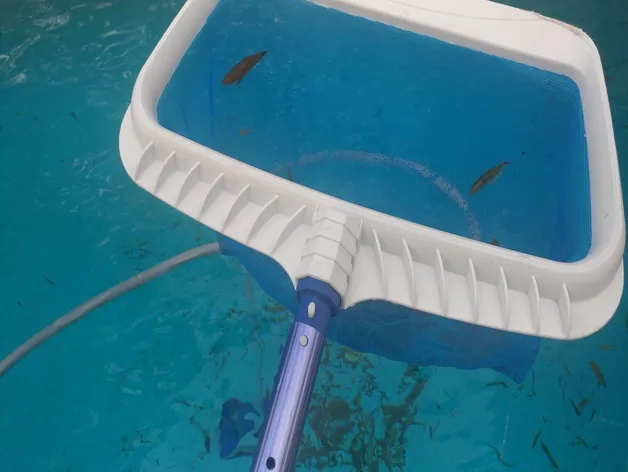 Thay thế tay cầm cho bộ cào lá Porpoise chất lượng cao