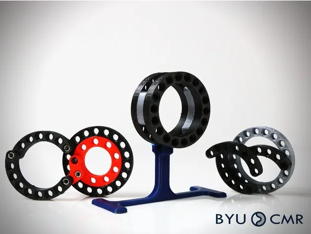 Liên kết cong kích thước vừa cho cơ chế phát triển