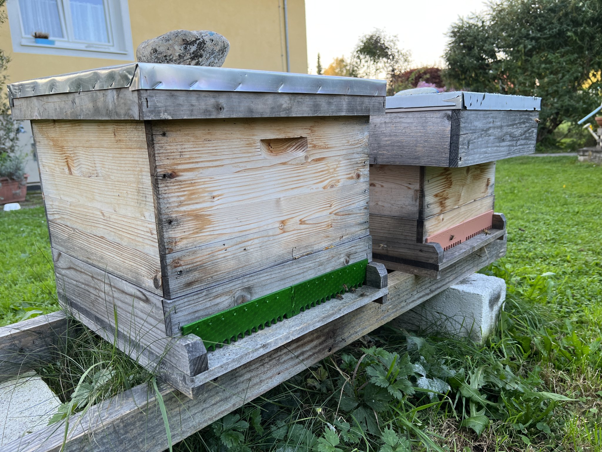 Bảng bảo vệ chống chuột cho tổ ong Einheitsmaß 388x50x4mm