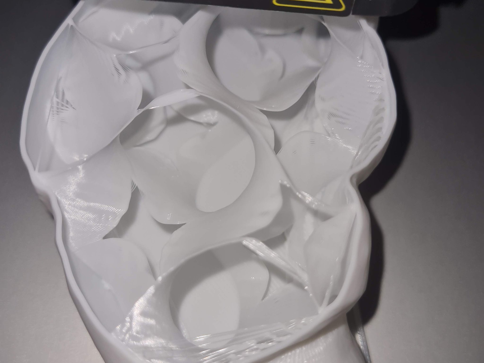 Bánh sừng bò với đáy cắt cho in FDM