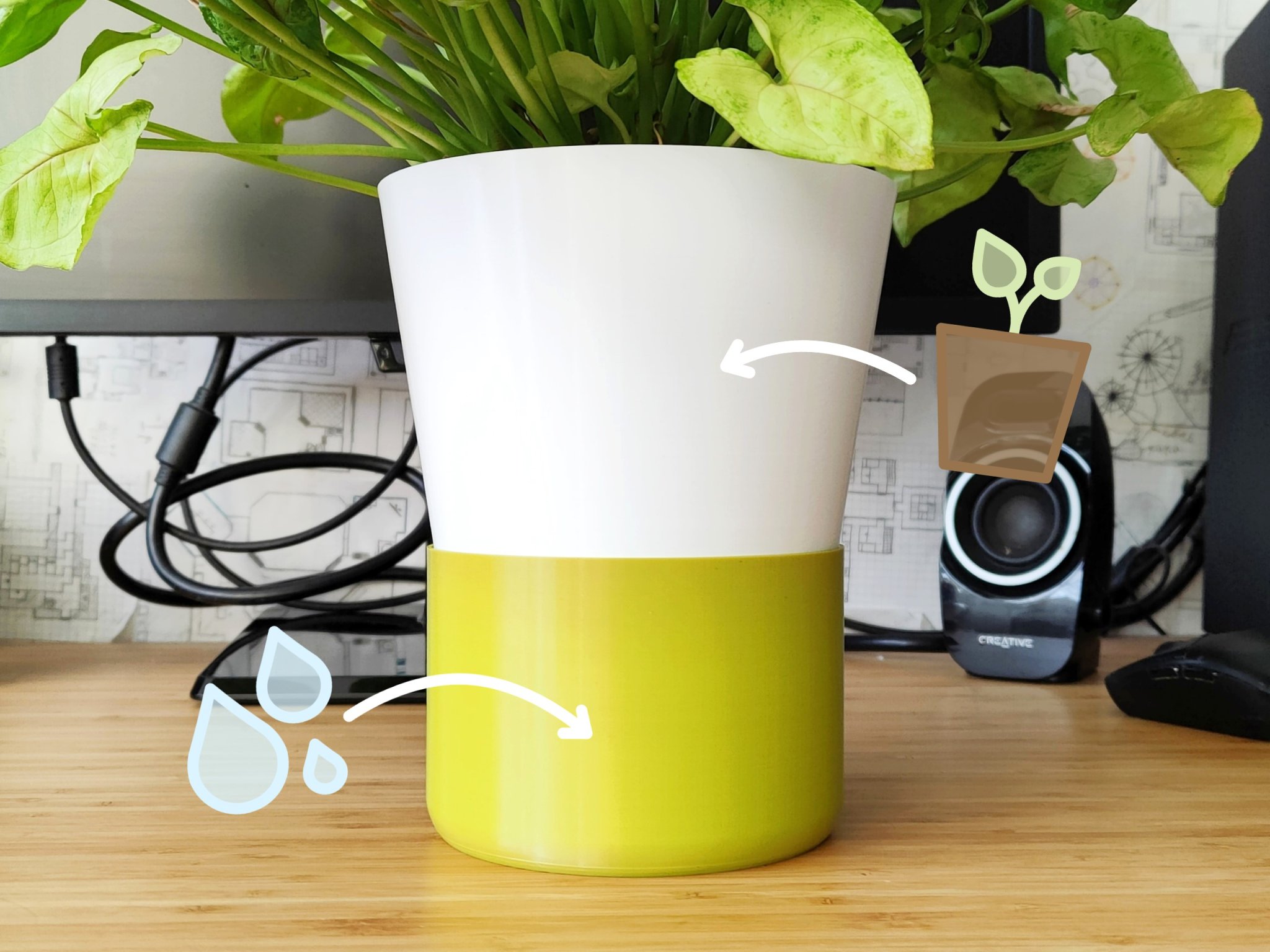 Chậu cây tự tưới hiện đại cho cây cảnh trong nhà