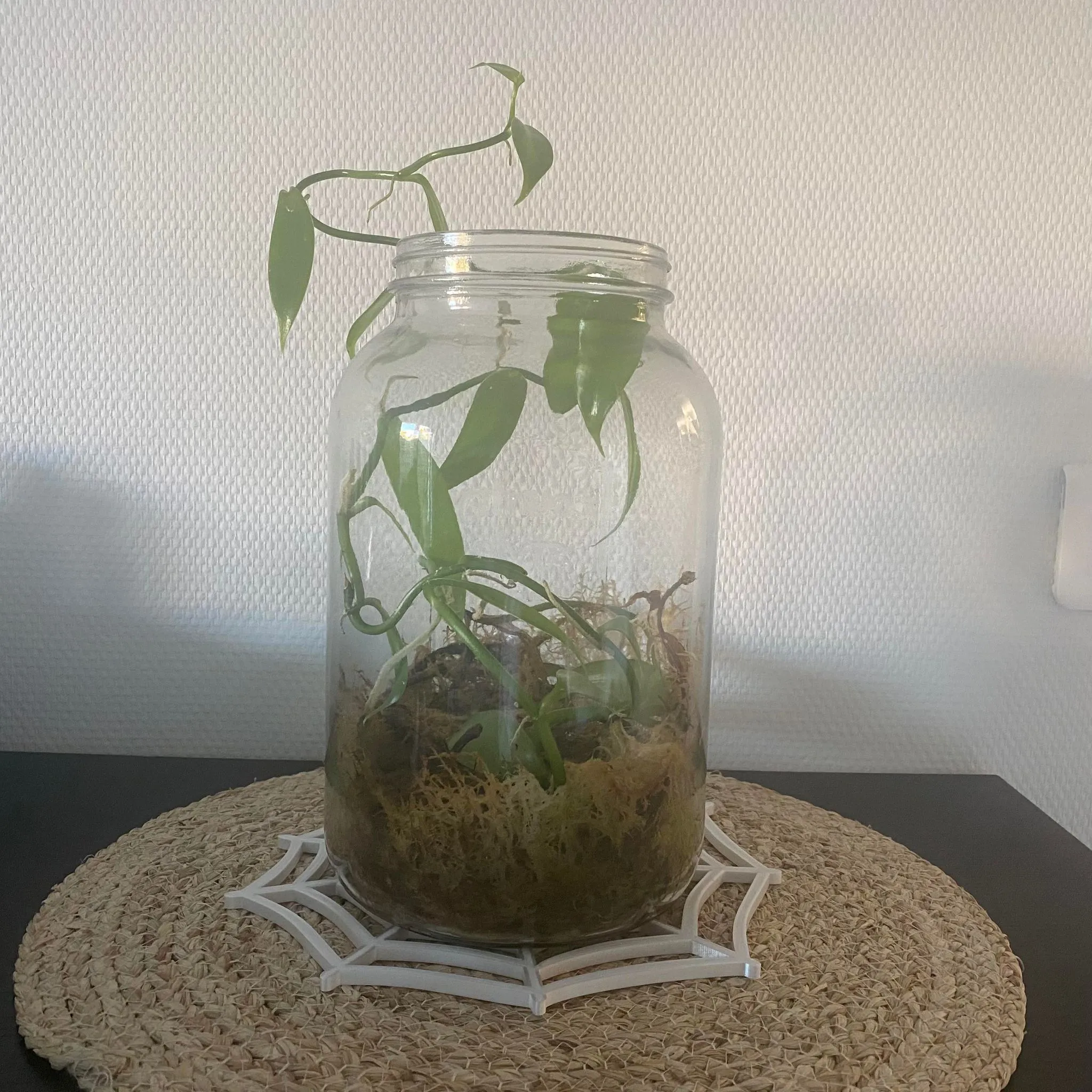 Tấm lót bàn hình mạng nhện cho dịp Halloween