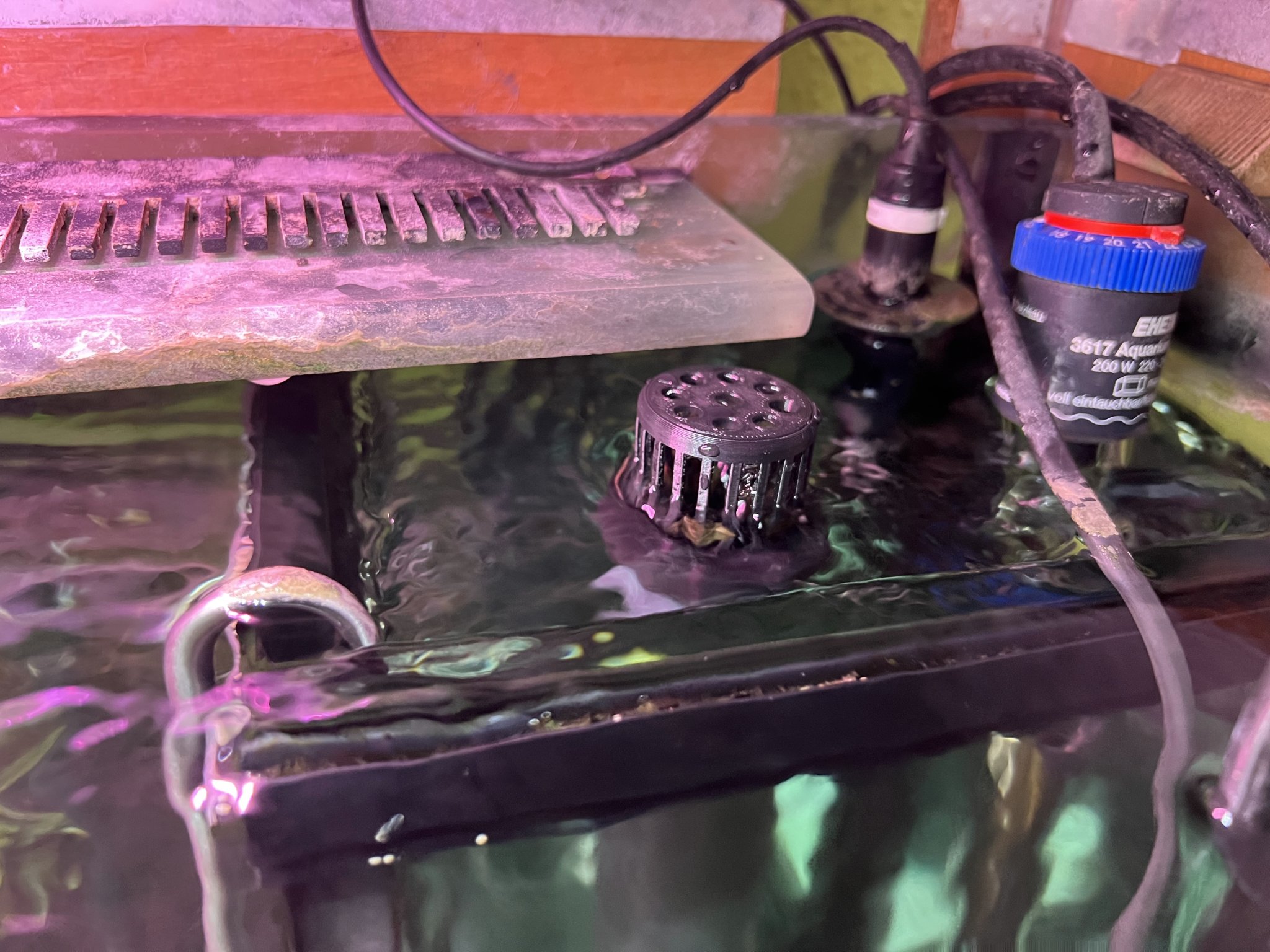 Bộ lọc cá cho ống 40mm trong bể cá