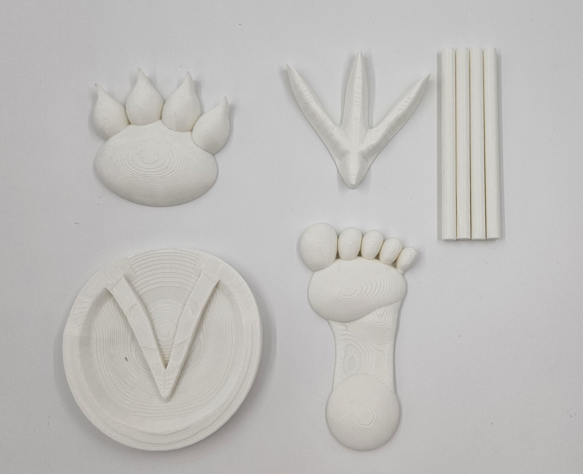 Dấu chân động vật khác nhau trên cát