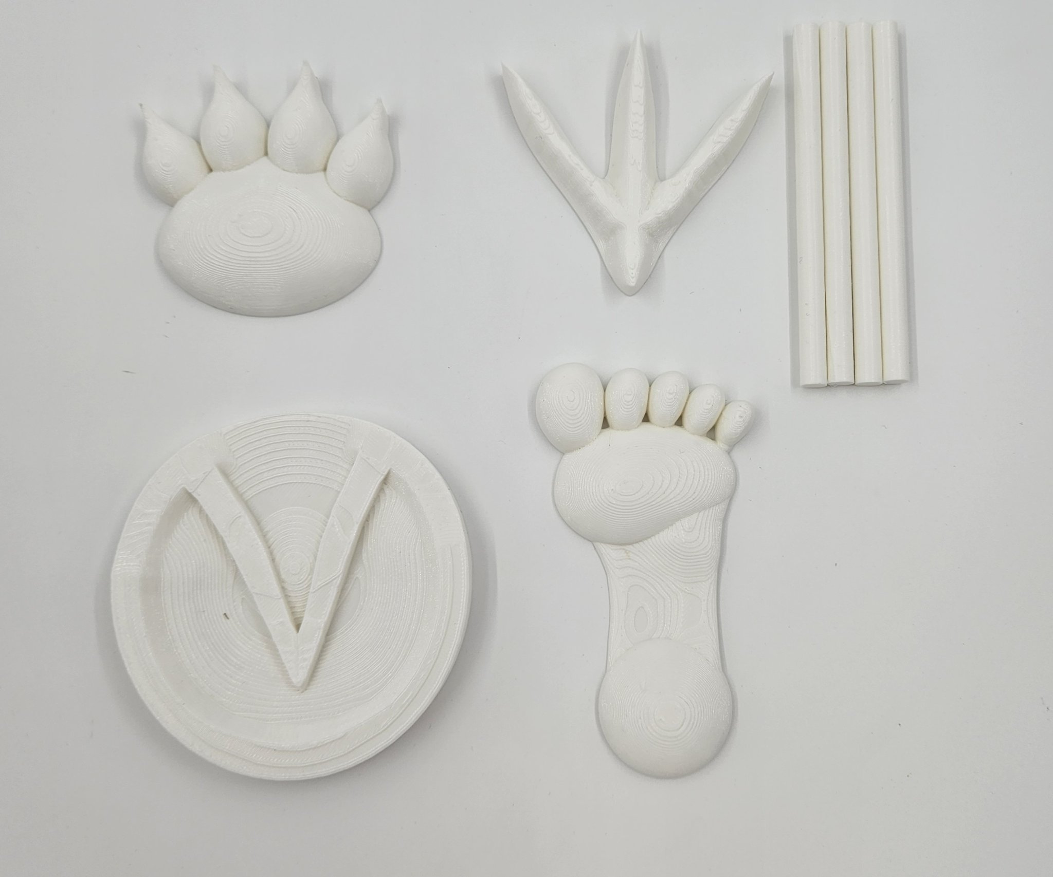 Dấu chân động vật khác nhau trên cát