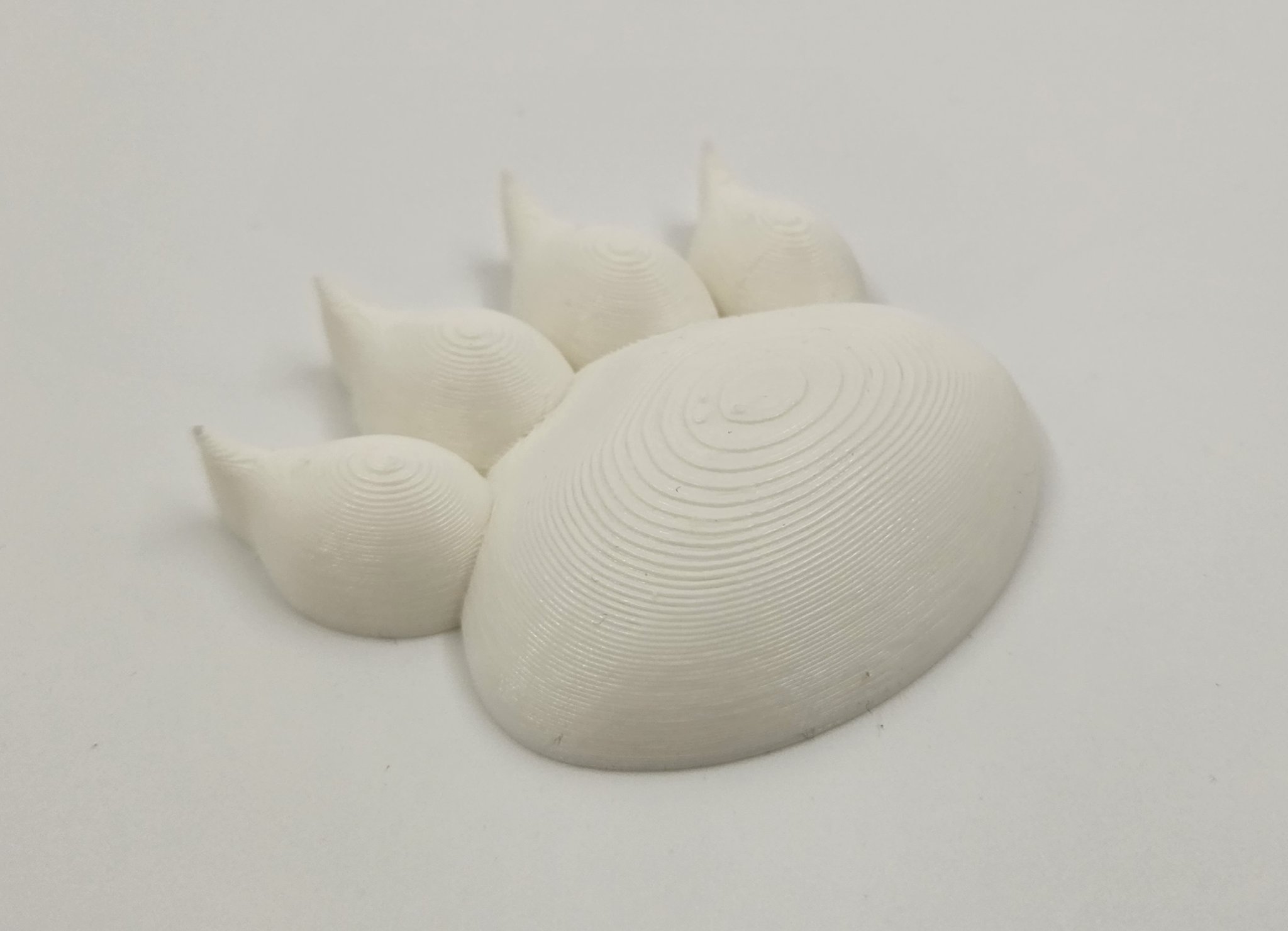 Dấu chân động vật khác nhau trên cát