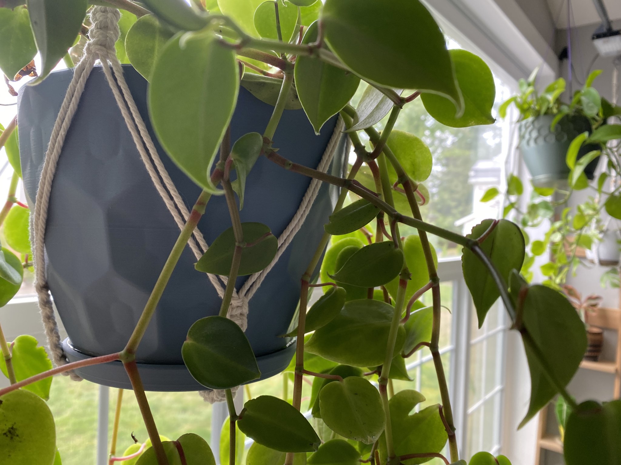 Chậu cây hình lục giác nổi ấn tượng