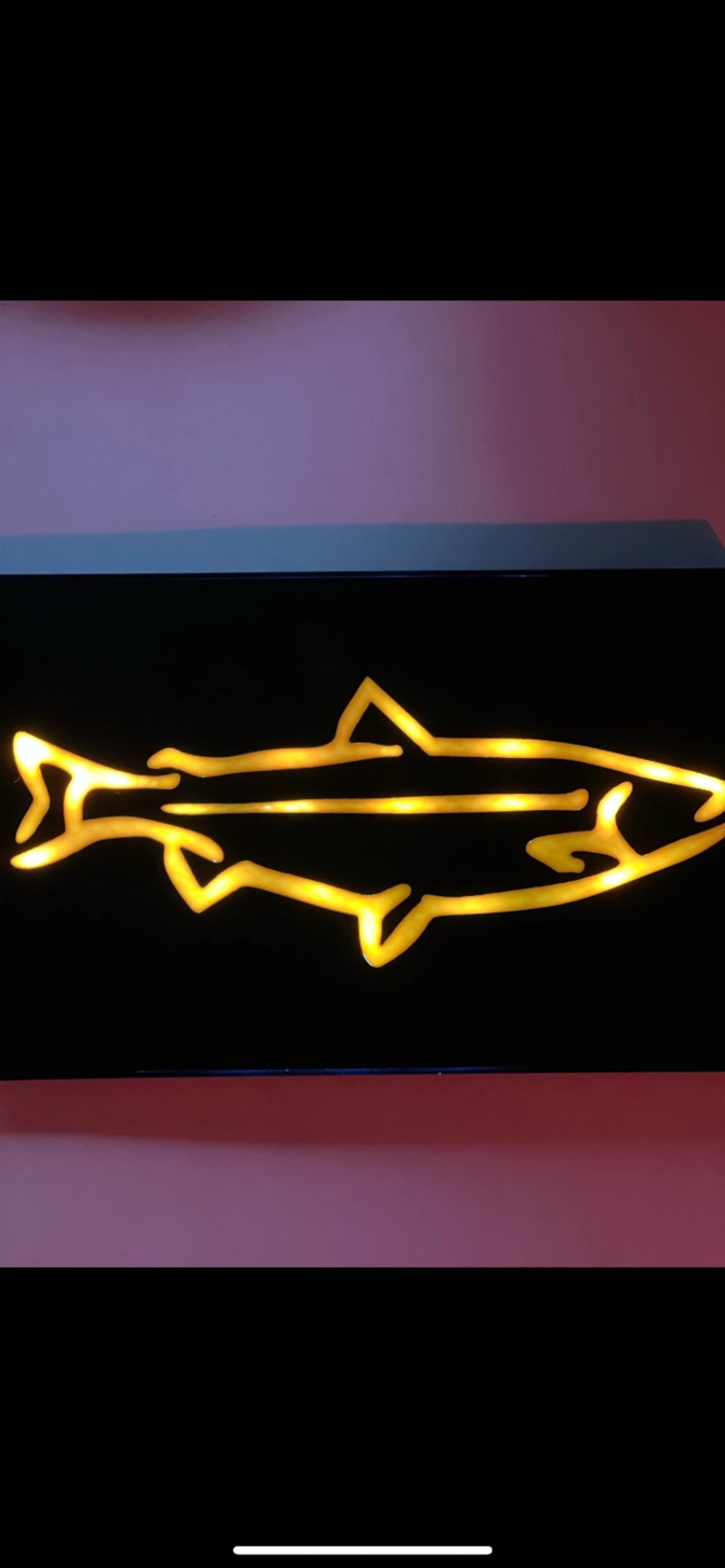 Hộp đèn LED tùy chỉnh cho nghệ thuật và thiết kế