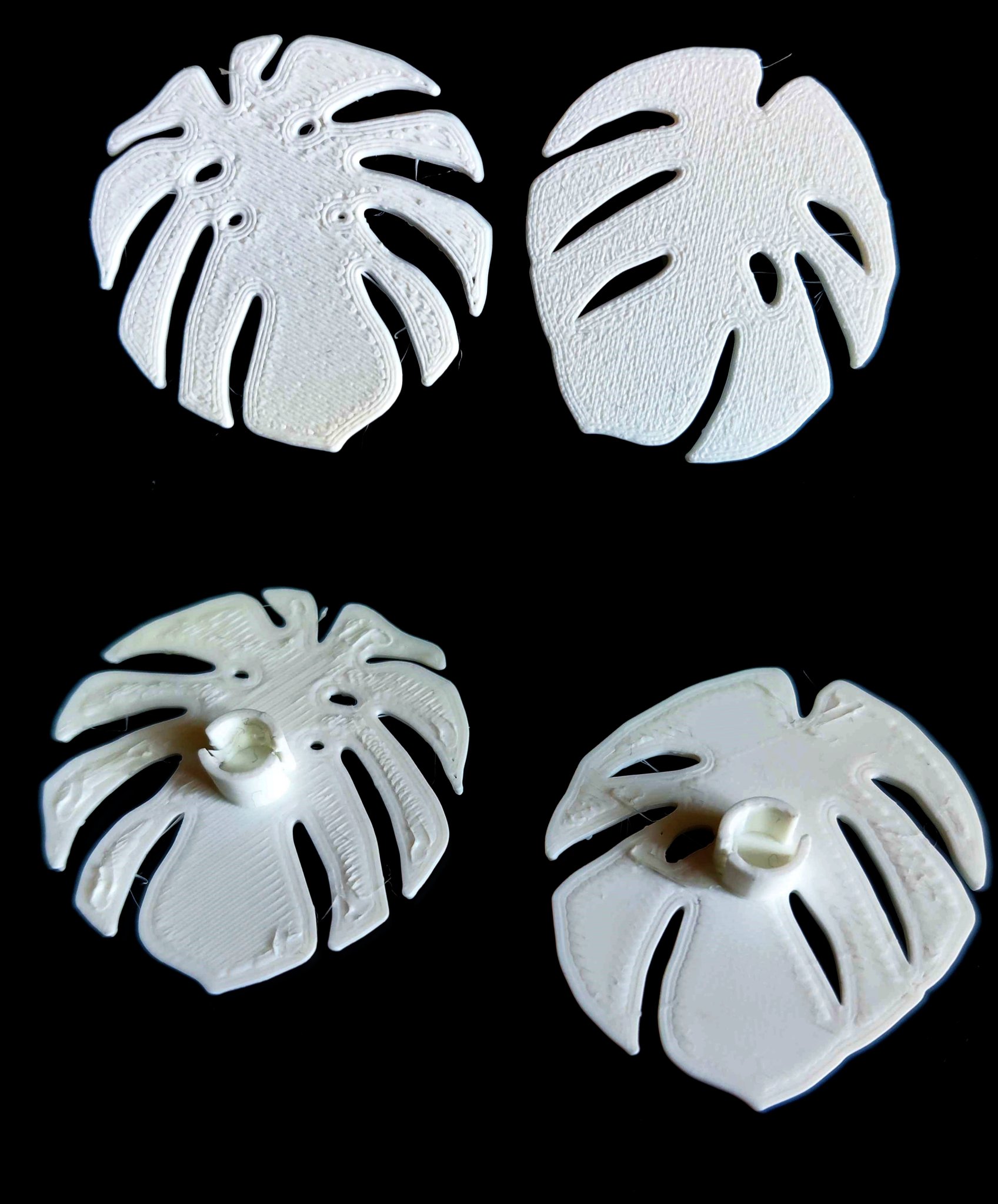 Trình hiển thị lá monstera cho máy in Sprite Extruder