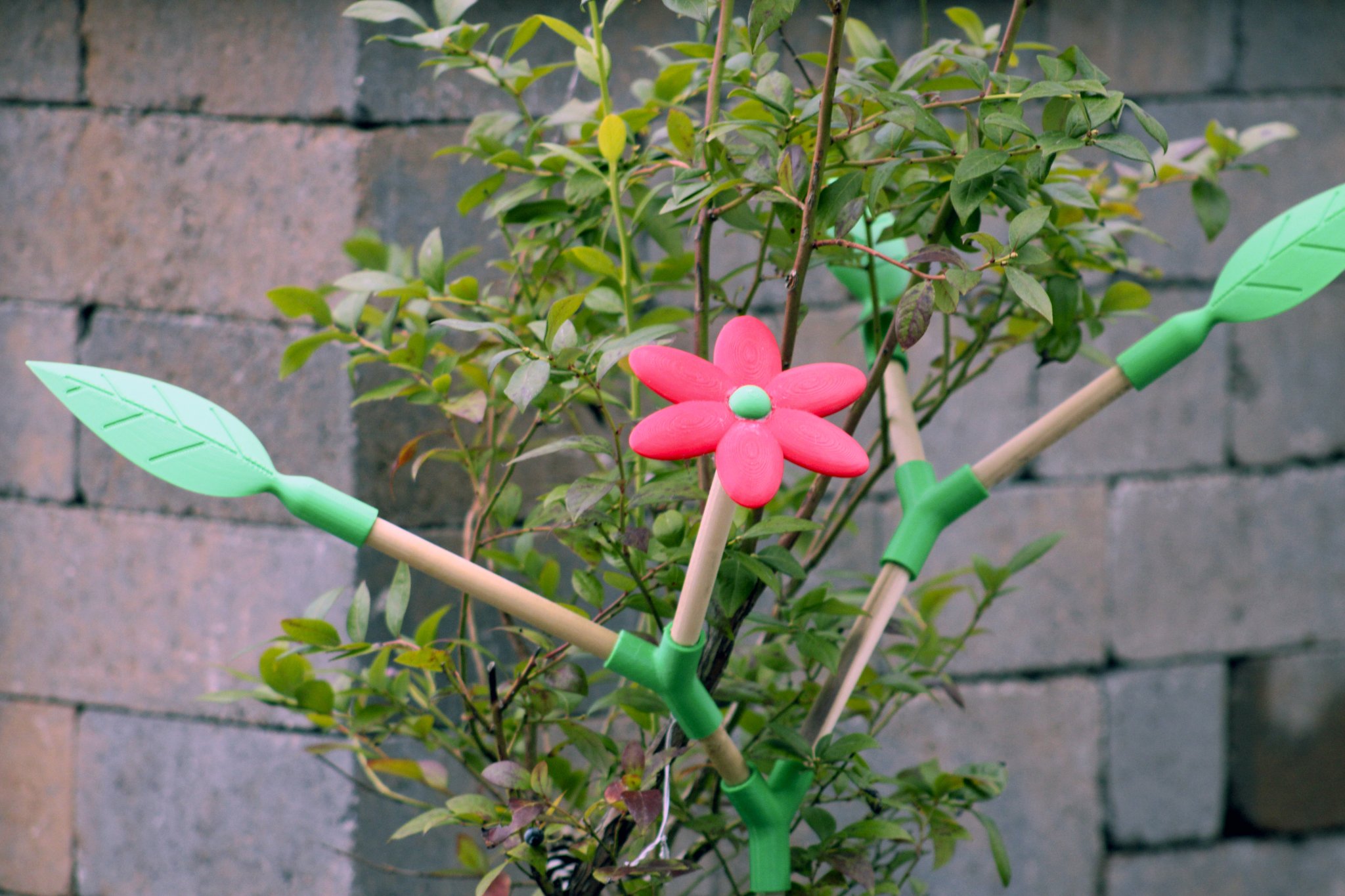 Giá đỡ cây trồng mở rộng theo hướng tự nhiên