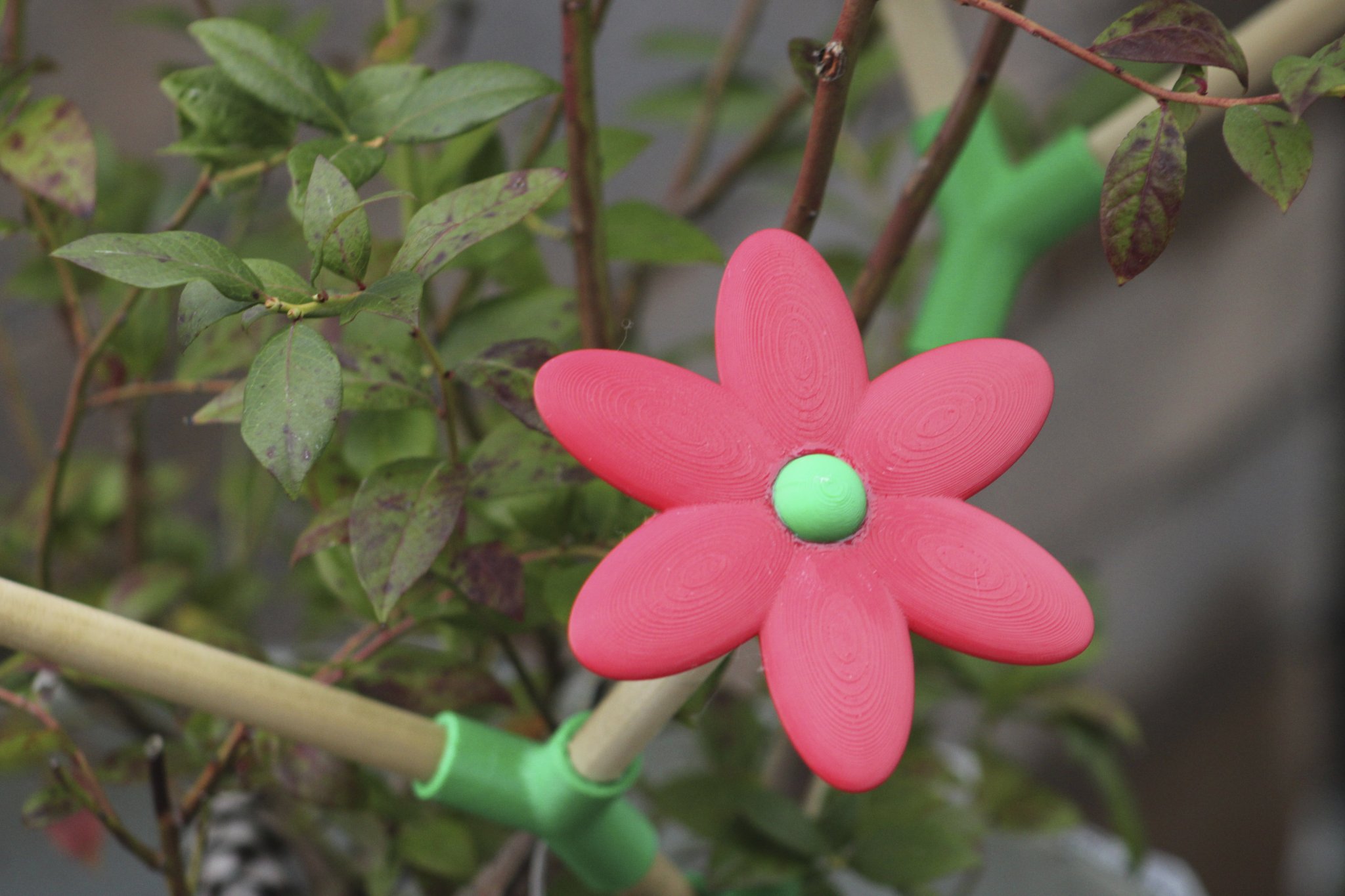 Giá đỡ cây trồng mở rộng theo hướng tự nhiên