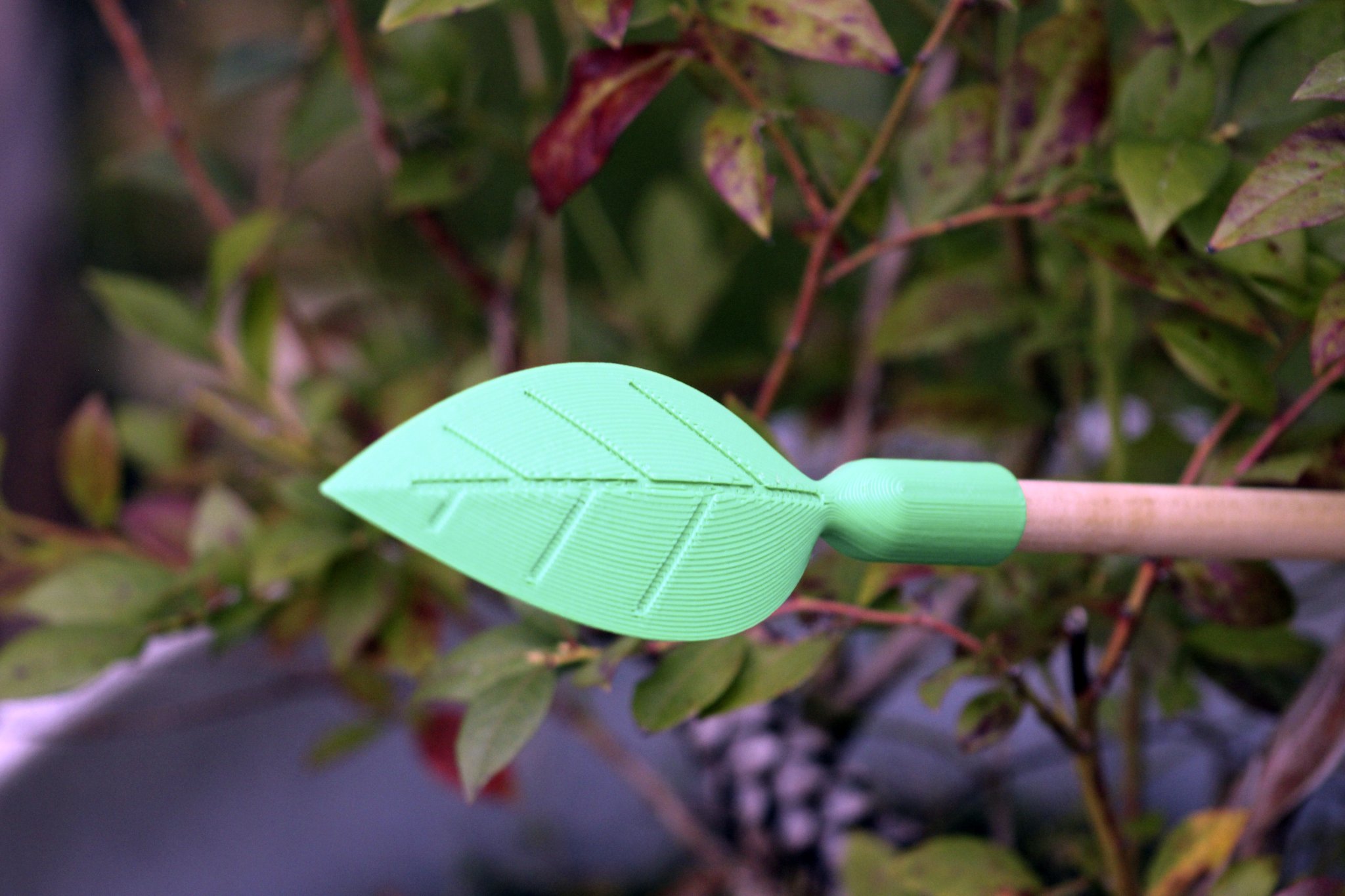 Giá đỡ cây trồng mở rộng theo hướng tự nhiên