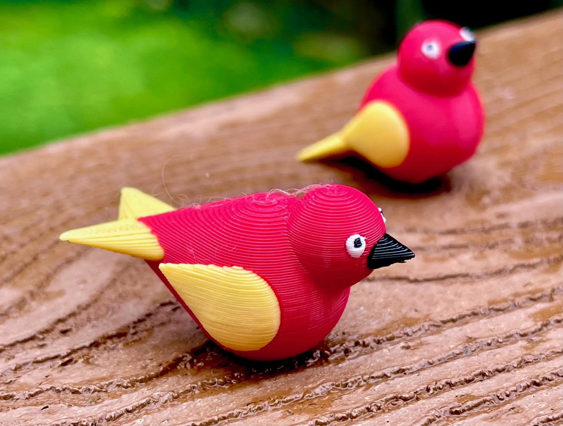 Chim Wobble dễ thương với màu sắc đa dạng cho MMU