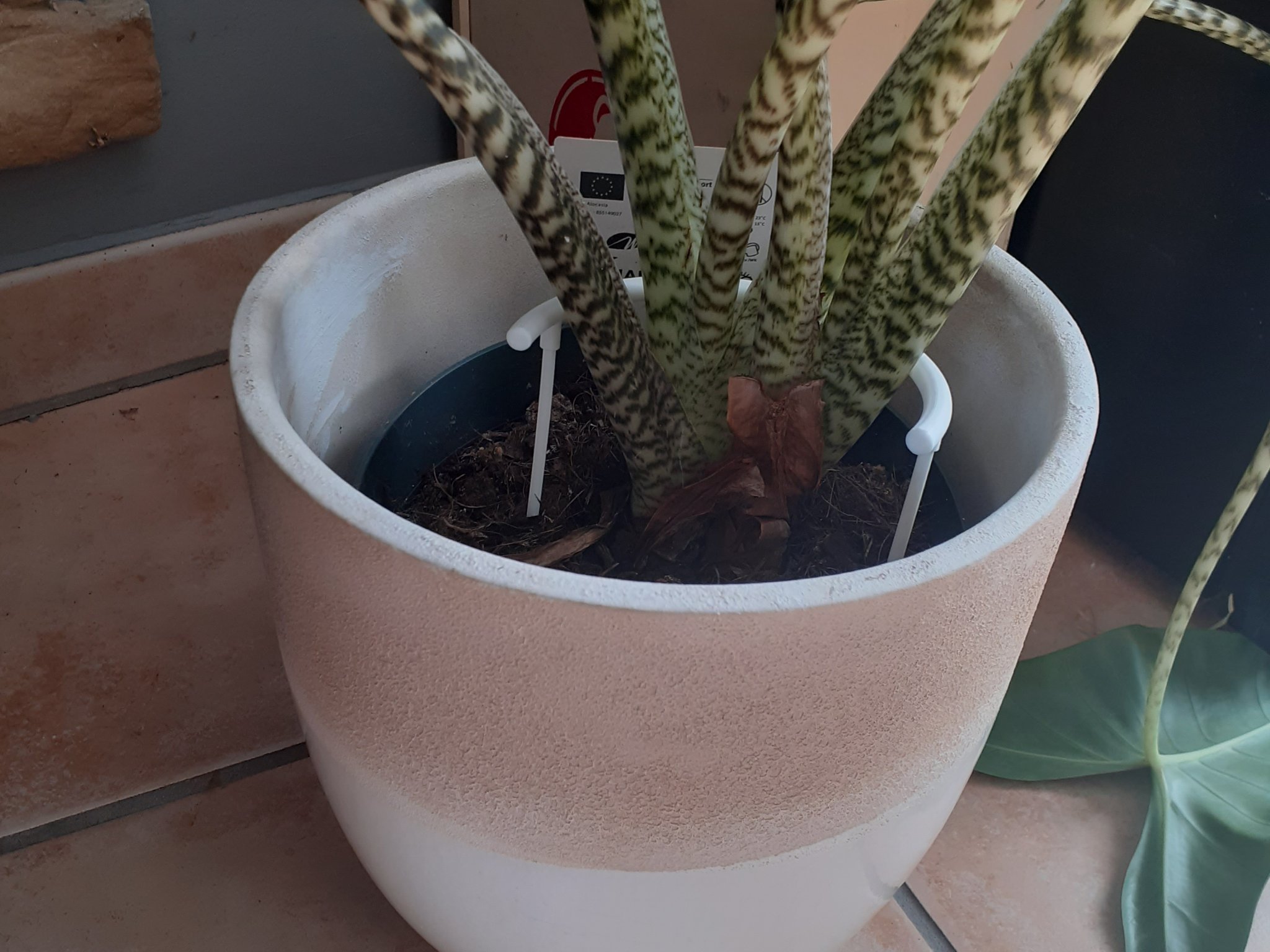 Giá đỡ cây trồng bằng PLA cao 12 cm, đường kính 7 cm