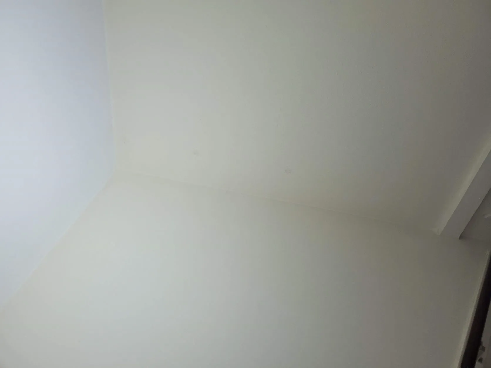 Bộ khuếch tán cho đèn pha LED 8x8cm (Parkside 20v)