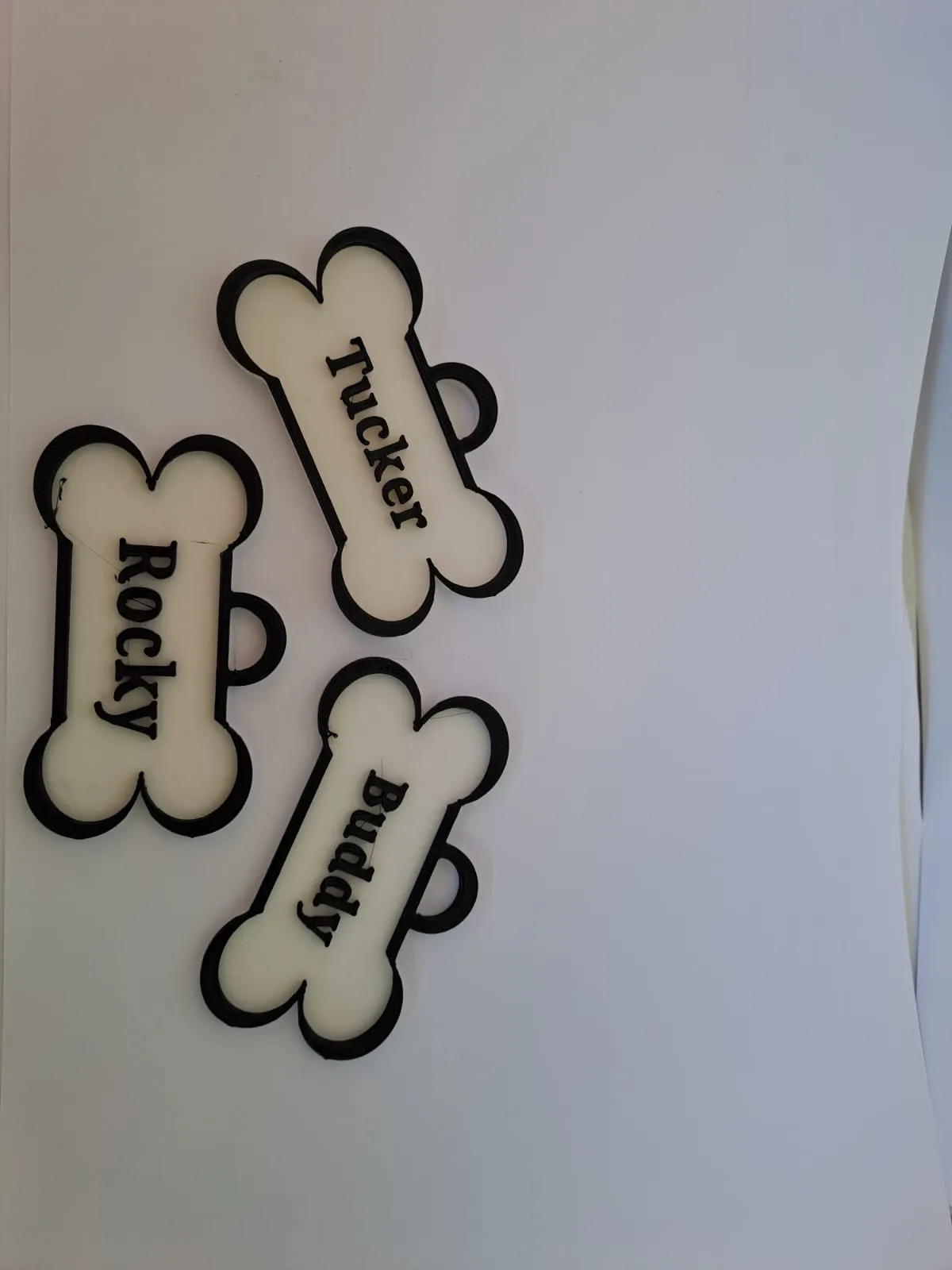 Thẻ tên chó đơn giản 2 màu với hơn 100 tên phổ biến