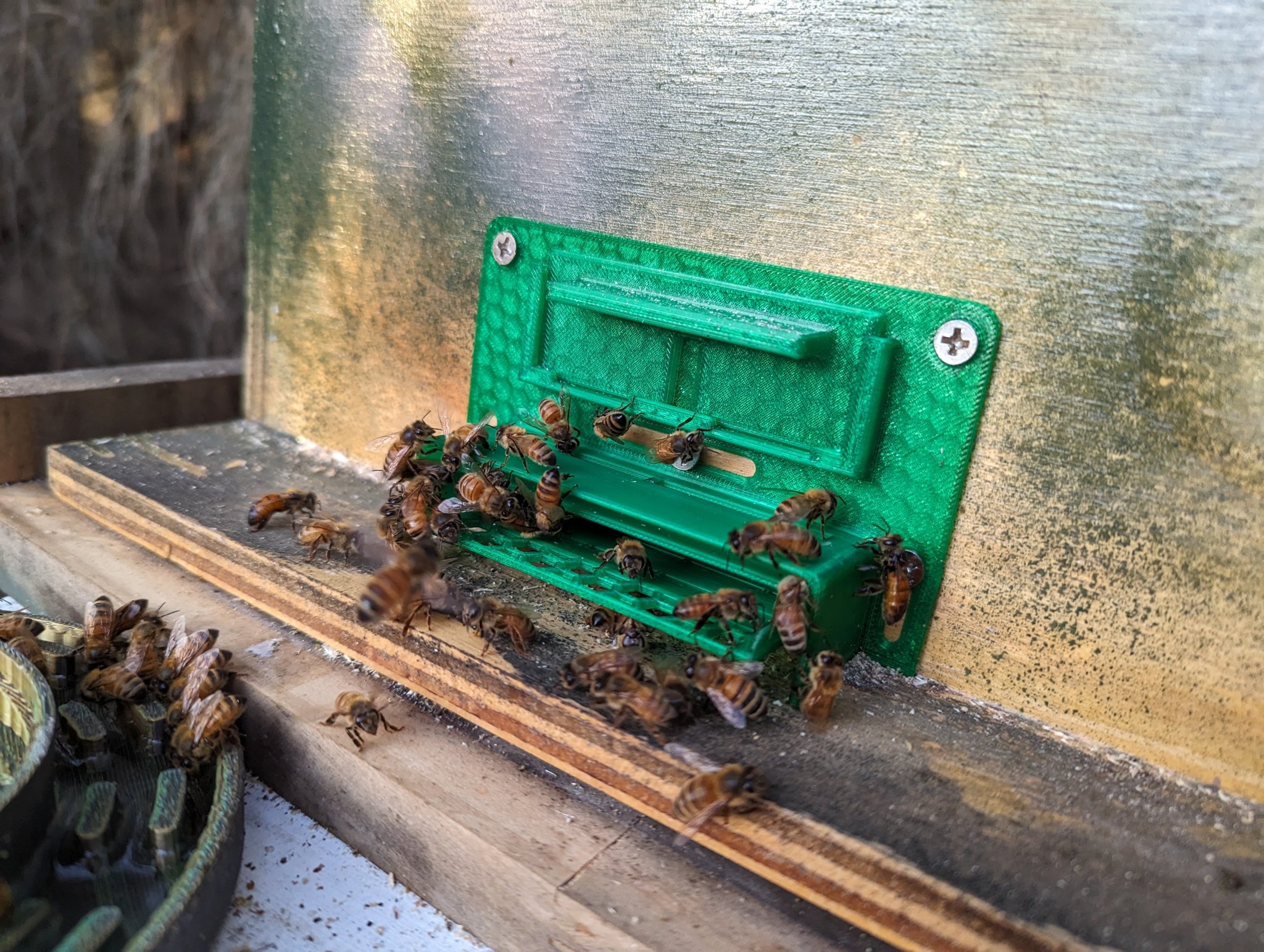 Cửa ra vào tổ ong nhỏ và lớn chống bọ nhỏ