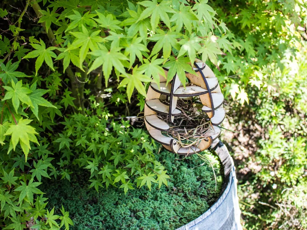 Nhà chim cắt laser tùy chỉnh cho chim trong khu vực