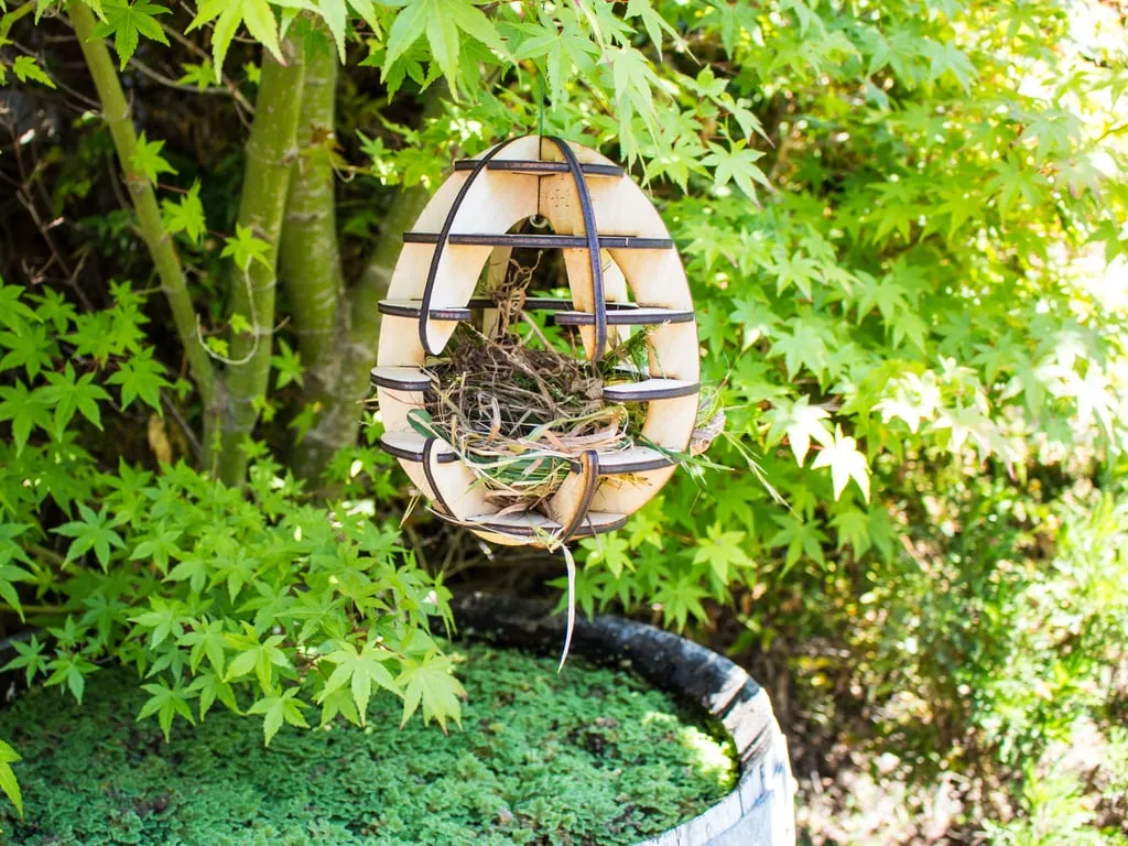 Nhà chim cắt laser tùy chỉnh cho chim trong khu vực