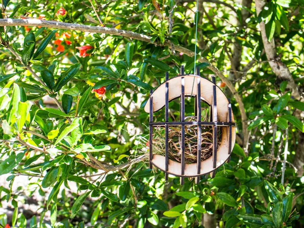 Nhà chim cắt laser tùy chỉnh cho chim trong khu vực