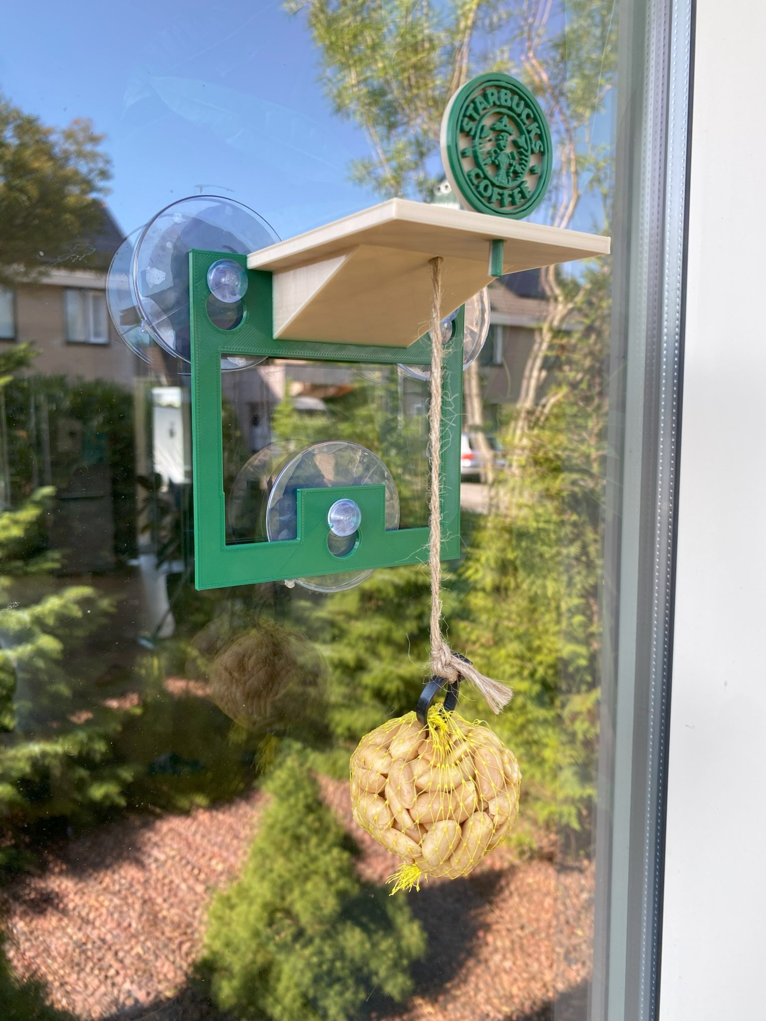 Cây cho chim đậu cửa sổ Starbucks