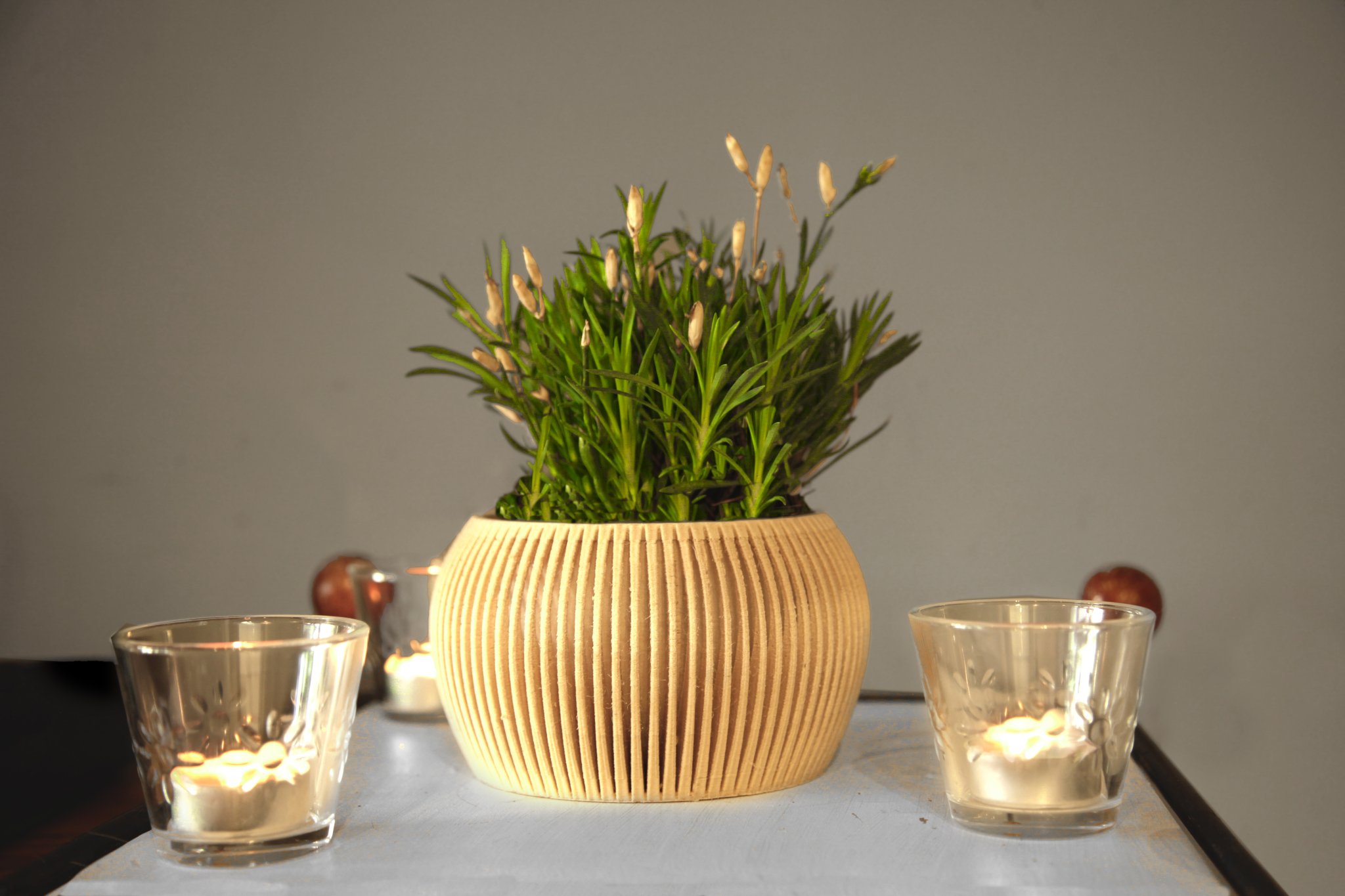 Bộ sưu tập chậu hiện đại số 8