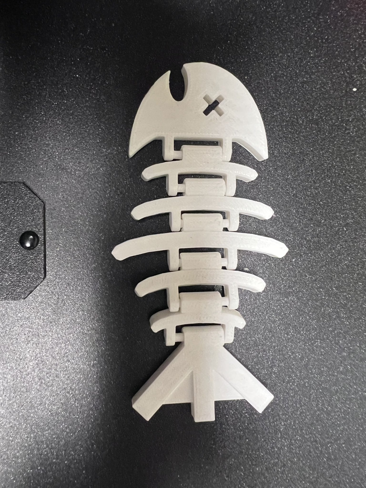 Mô hình xương cá mềm in tại chỗ trong Tinkercad